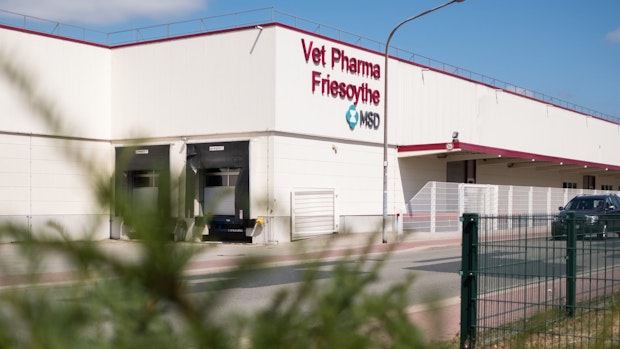 Vet Pharma aus Friesoythe soll illegal Tierarzneimittel exportiert haben