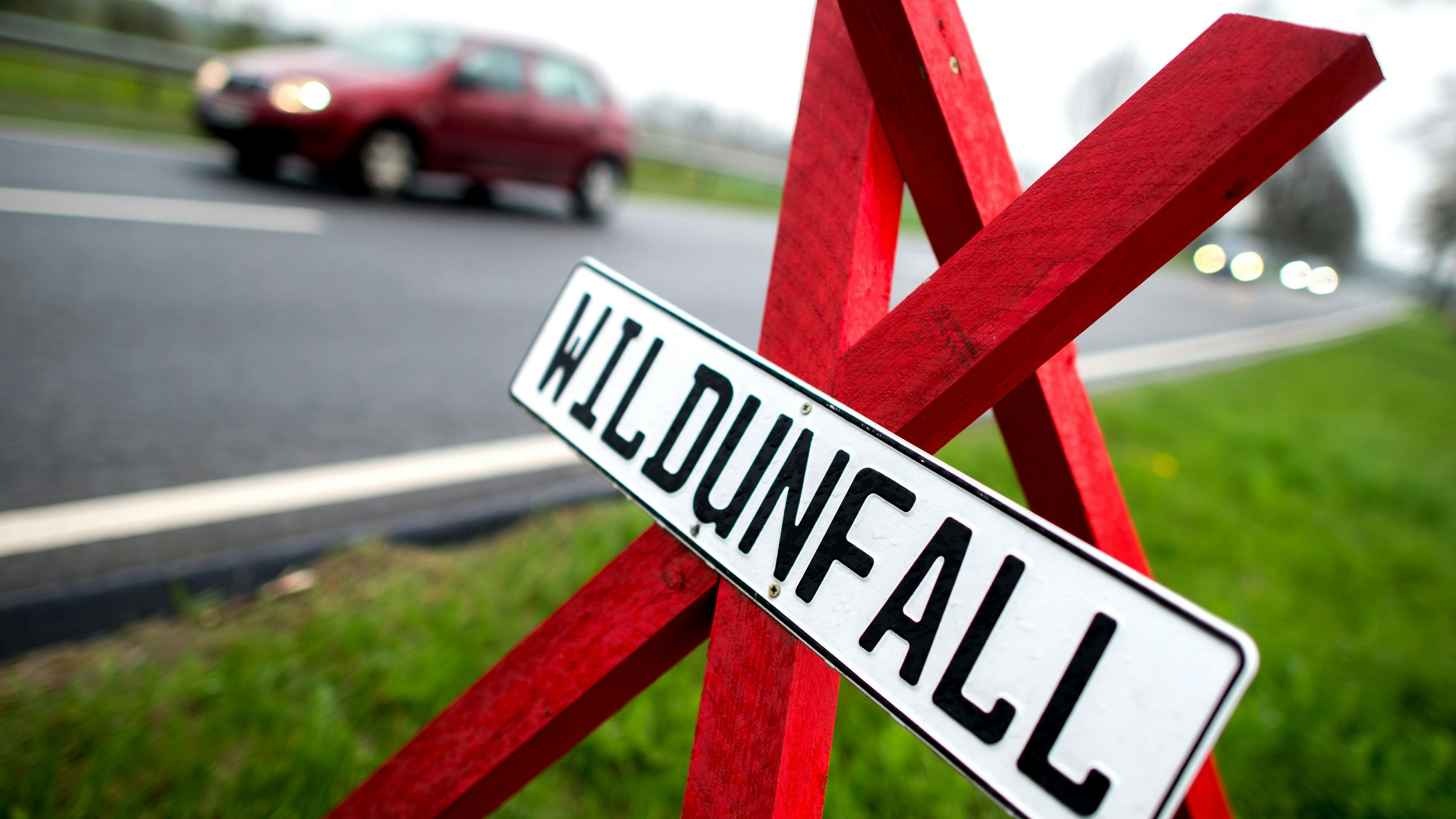 Kein seltenes Bild: Rote Dreibeine stehen im Winterhalbjahr an vielen Unfallstellen im Oldenburger Münsterland, um Autofahrer zu sensibilisieren. Denn nicht nur die Tiere sind bei einem Zusammenstoß in Gefahr. Foto: dpa