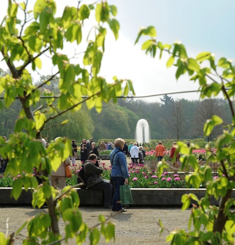 Herrlich zum Flanieren und Staunen: die Ippenburger Gärten. Foto: Ippenburger Gärten