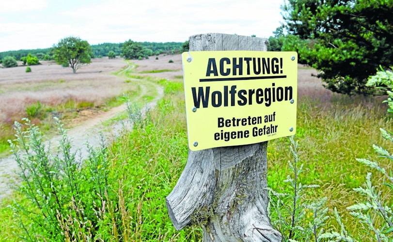 In der Nähe von Soltau: Hinweistafel warnt am Rand der Timmerloher Heide direkt an der A7. Foto: dpa Hollemann