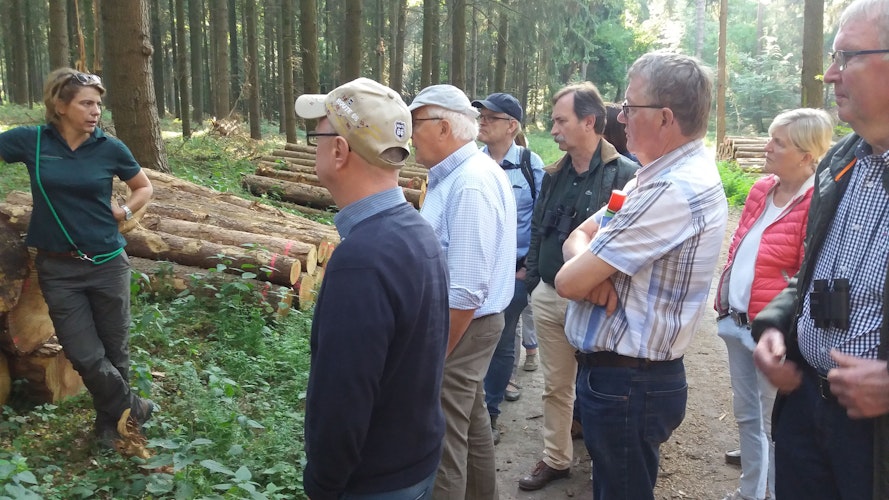 Bezirksförsterin Dorothea Kreinberg informiert die Teilnehmer der naturkundlichen Wanderung in den Dammer Bergen über den Holzverkauf. Foto: Heitlage