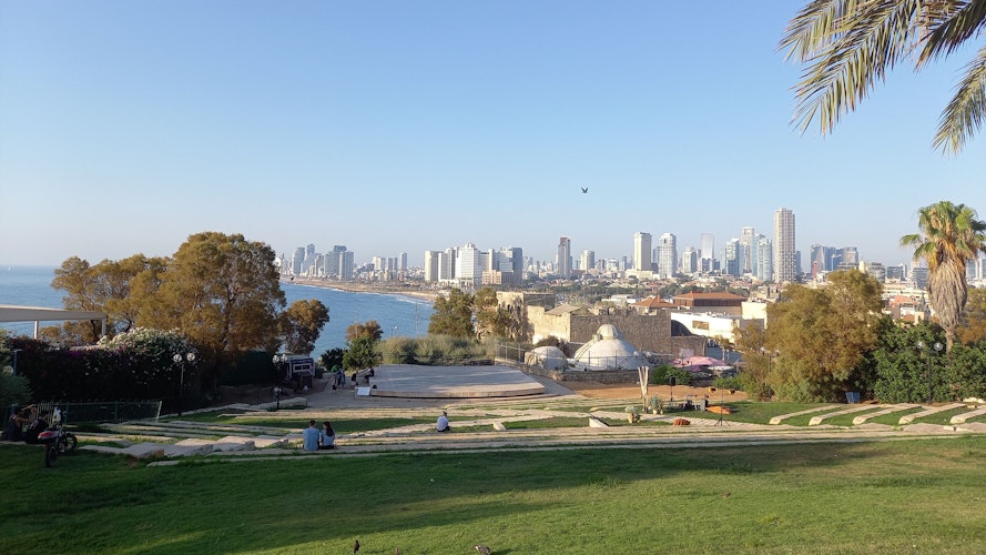 Unter Palmen: Marinas Blick auf Tel Aviv. Foto: Averbeck