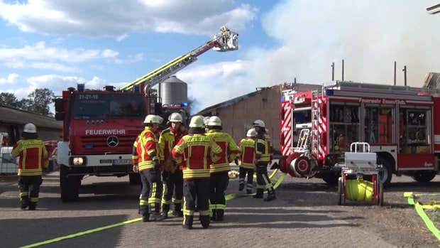 Großeinsatz der Feuerwehren in Essen: Putenstall brennt nieder