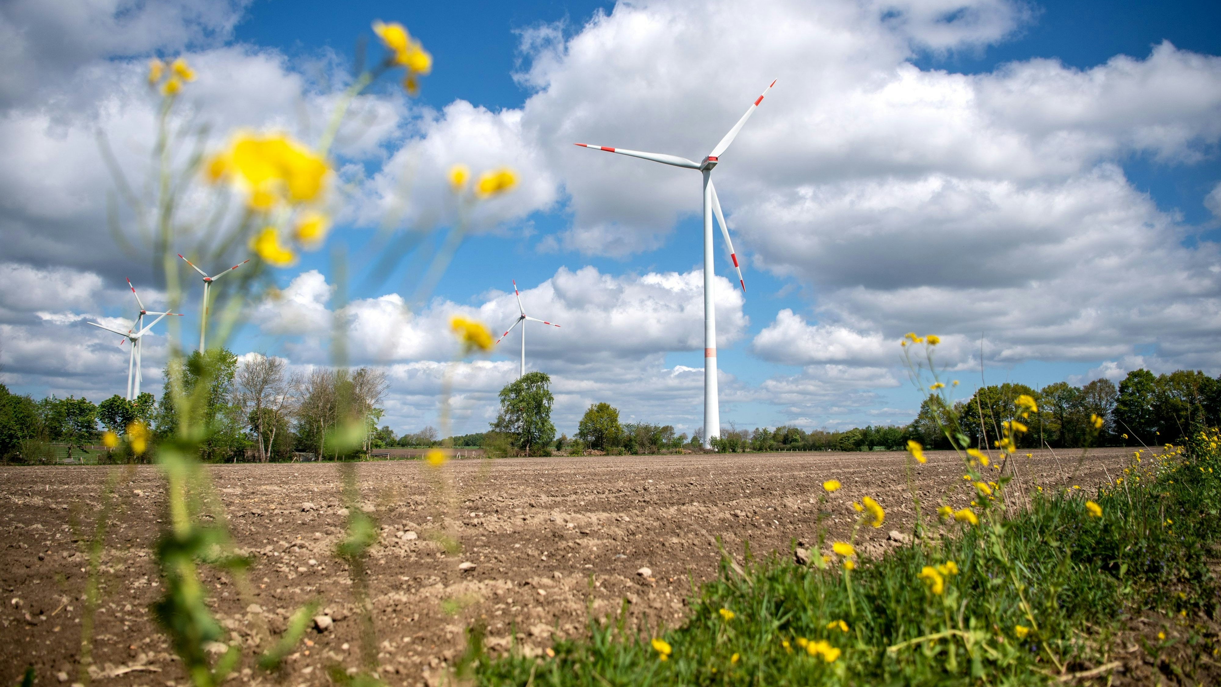 Windkraft und nicht mehr Biomasse ist jetzt die Hauptquelle für Ökostrom aus dem Oldenburger Münsterland. Foto: dpa/Schuldt