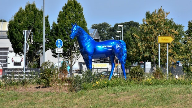 Aus der Traum vom blauen Einhorn: Holdorf hütet nun ein Pferd