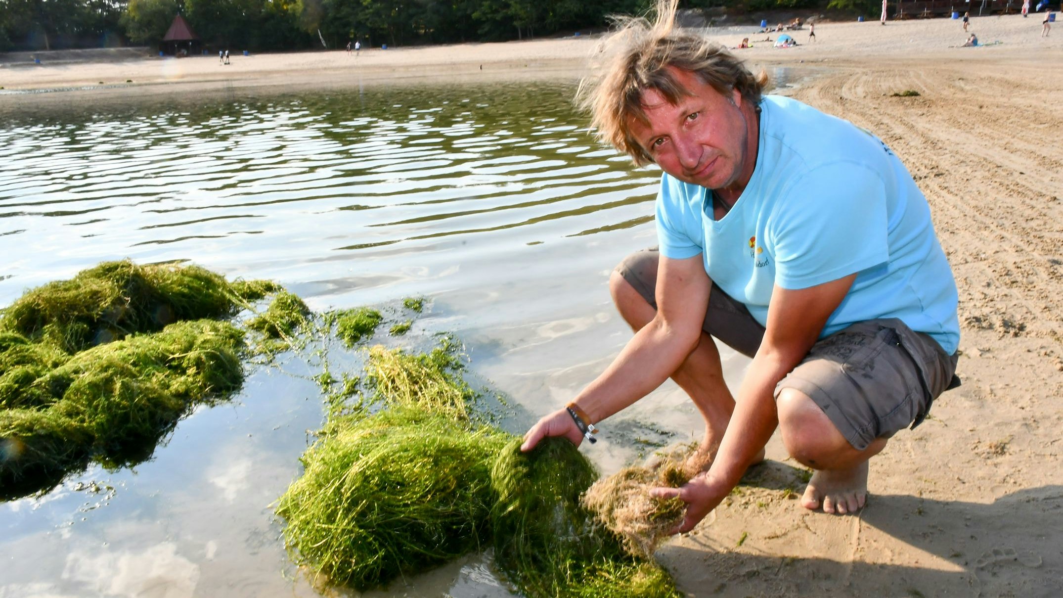 Nicht giftig, aber nervig: Heidesee-Betreiber Christian Bahlmann fischt die invasive Pflanze "Kanadische Wasserpest" (Elodea canadensis) aus dem See. Foto: Vollmer