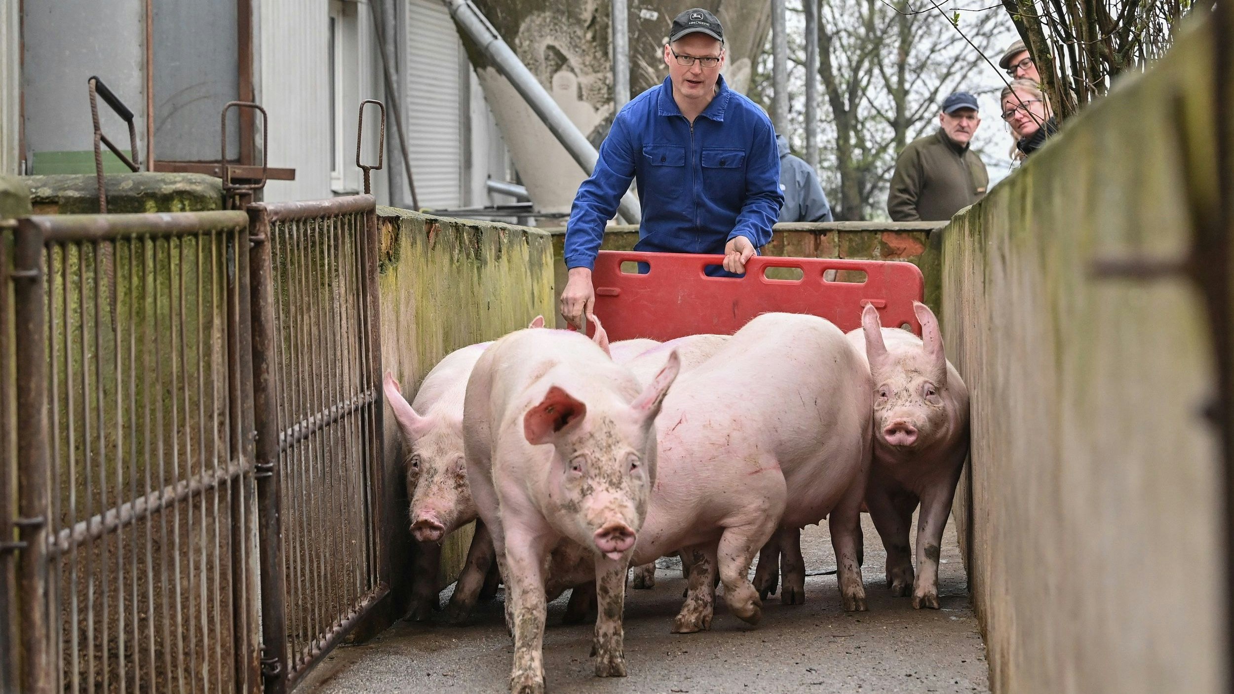 Branche in Schwierigkeiten: Wegen der Coronapandemie sank der Absatz an Schweinefleisch enorm.&nbsp; &nbsp;Foto: dpa/Pleul