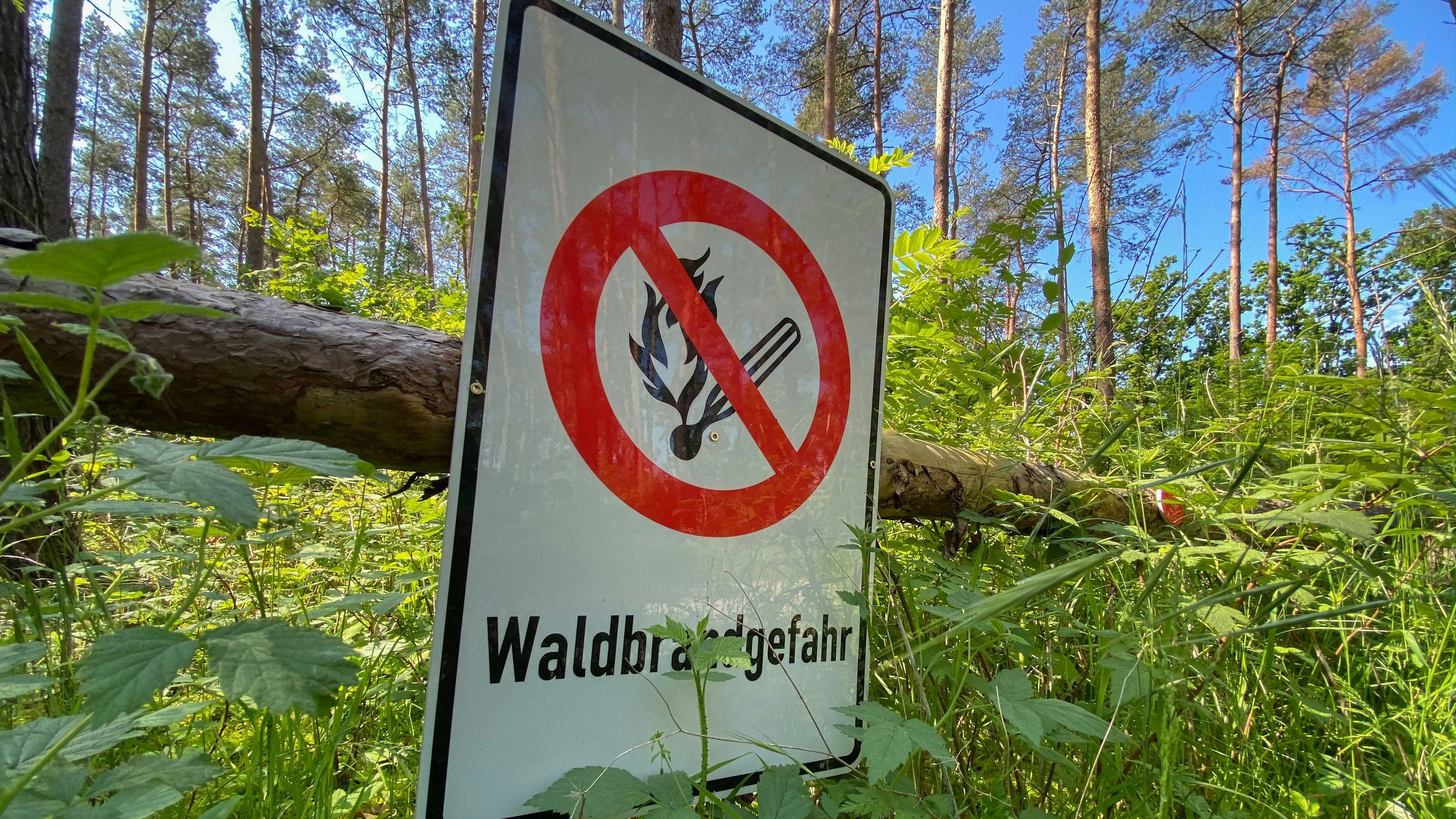 Ein Schild "Waldbrandgefahr" hängt in einem Wald. Symbolfoto: dpa