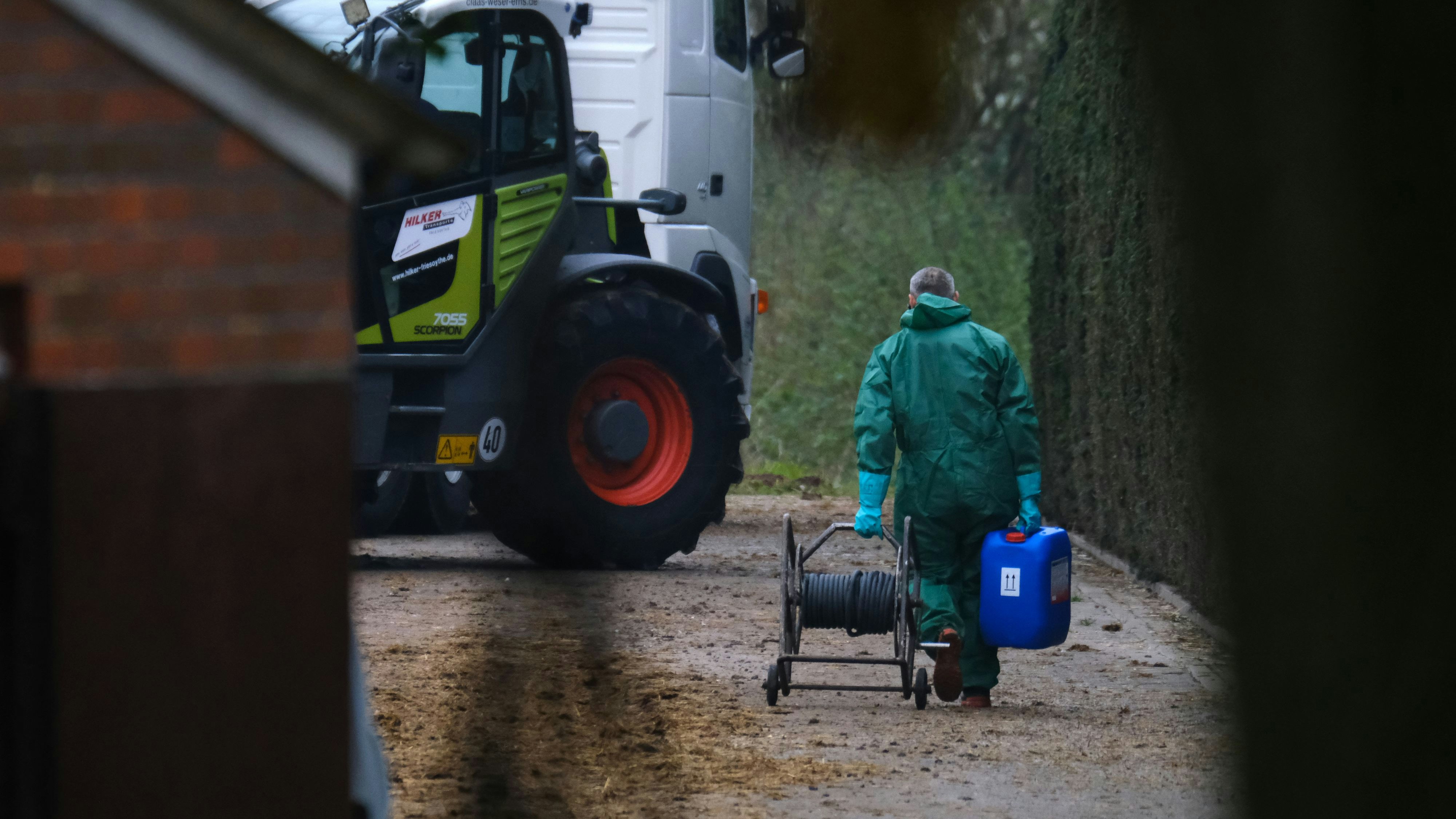 Nach dem Ausbruch der Geflügelpest in einem Entenstall in Friesoythe, gibt es jetzt einen weiteren Fall. Foto:&nbsp;dpa | Markus Hibbeler