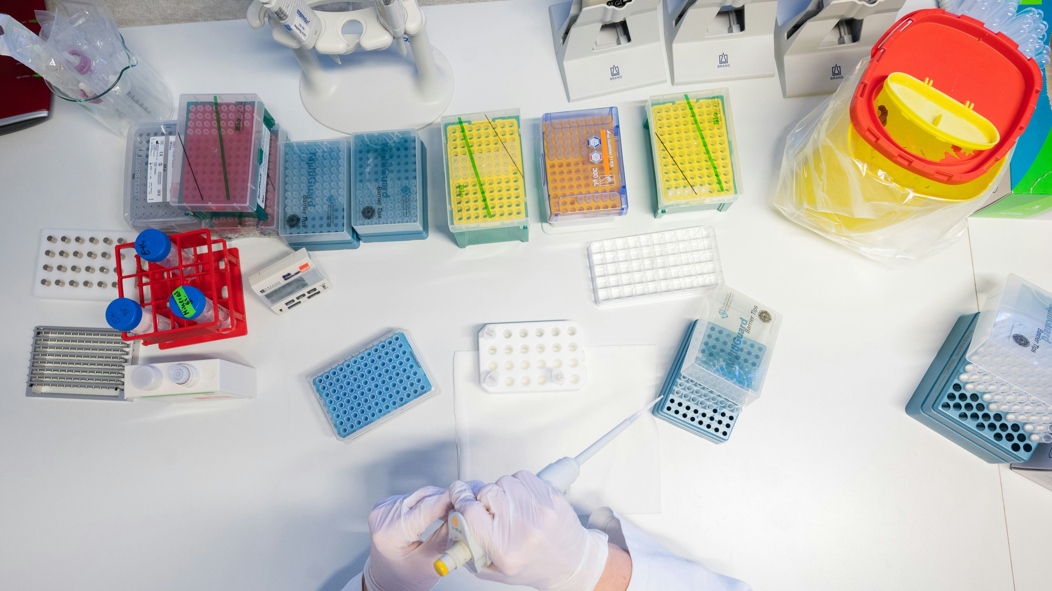 Eine biologisch-technische Assistentin bereitet die Sequenzierung von positiven PCR-Tests in der PCR-Analytik im Labor vom Niedersächsischen Landesgesundheitsamt (NLGA) vor. Symbolfoto: dpa