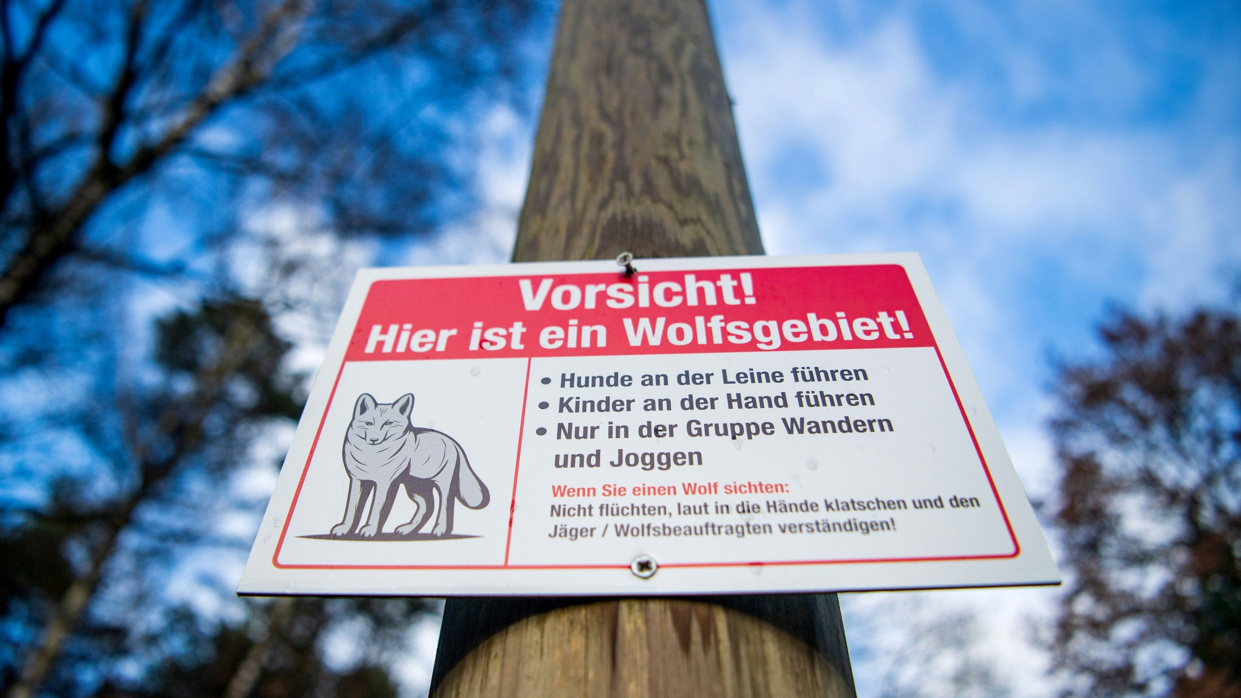 "Vorsicht! Hier ist ein Wolfsgebiet!": Unbekannte hängen Schild an Waldrand auf. Foto: dpa