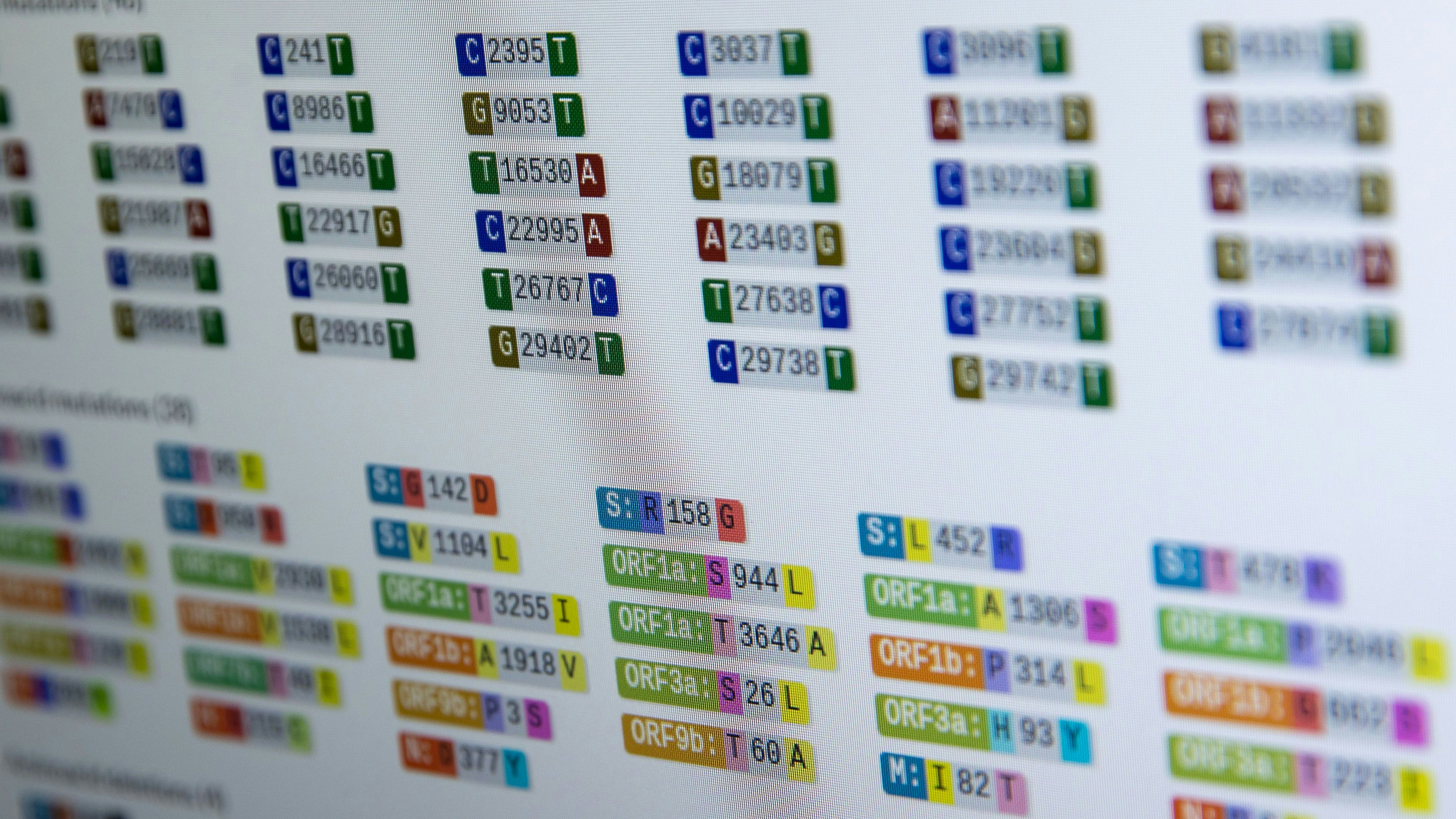 Auf einem Computermonitor im Sequenzierlabor für Corona-Varianten&nbsp; sind unterschiedliche Varianten und Mutationen des Corona-Virus grafisch abgebildet. Symbolfoto: dpa