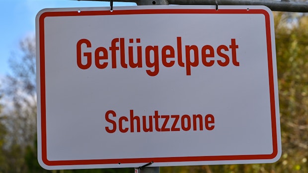 Landkreis Vechta meldet neuen Geflügelpest-Fall in Langwege