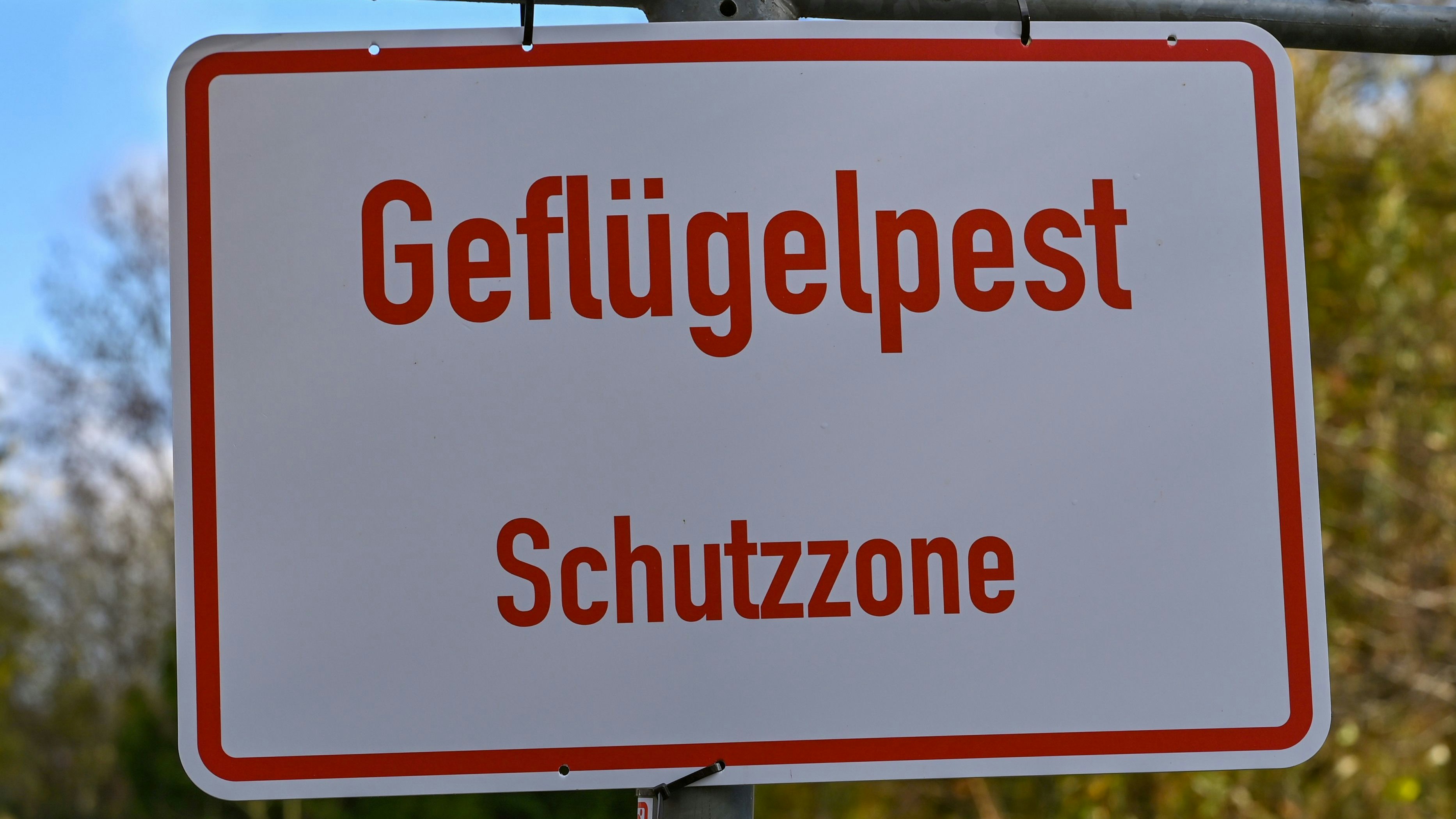 Massive Auswirkungen auf andere Tierhalter: Rund um den betroffenen Betrieb hat der Landkreis Vechta eine Schutzzone angeordnet. Foto: dpa