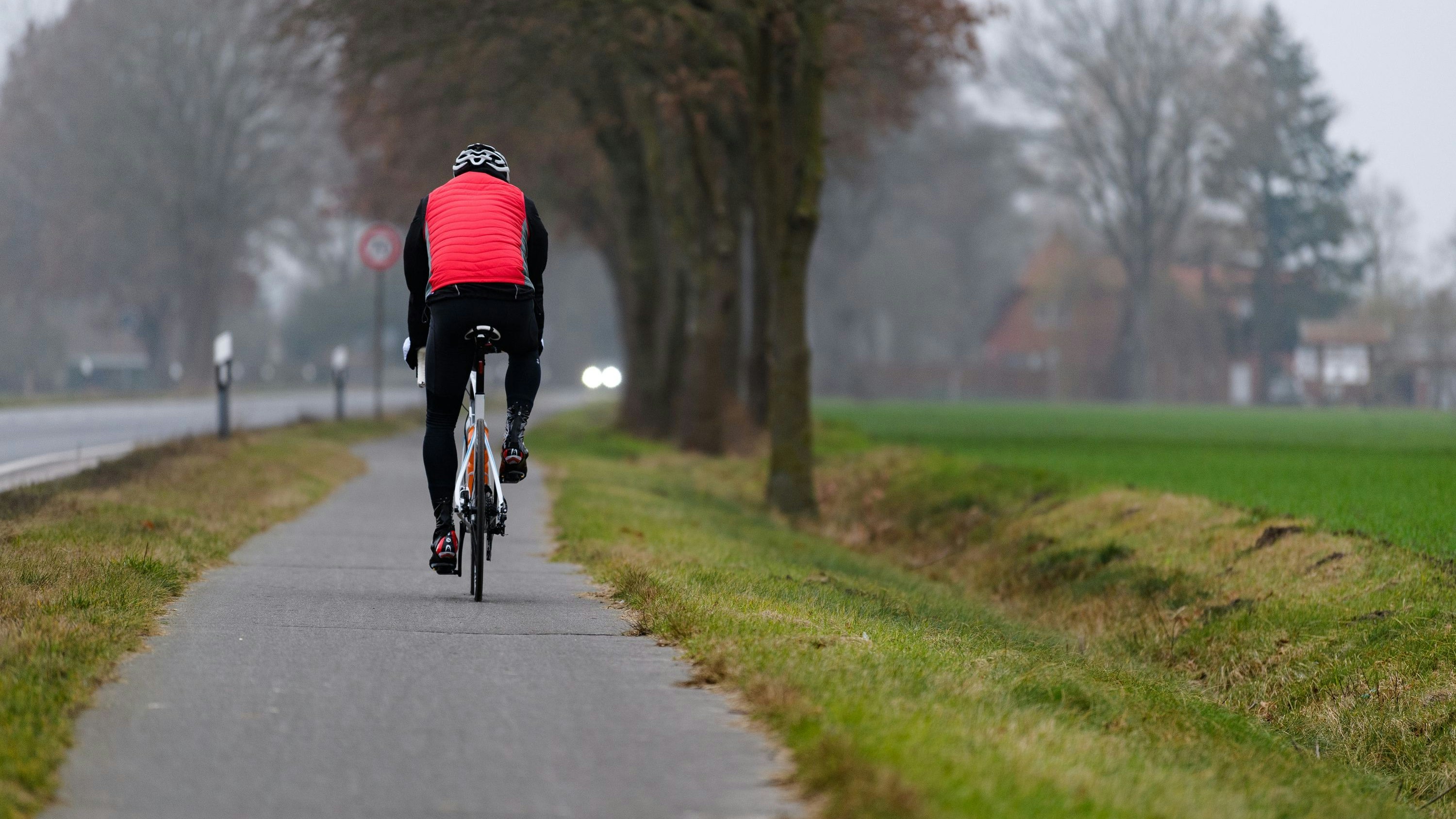 Nicht gerade winterlich, aber immerhin ganz angenehm für Radtouren: So war der Januar im Oldenburger Münsterland. Foto: dpa/Schulze