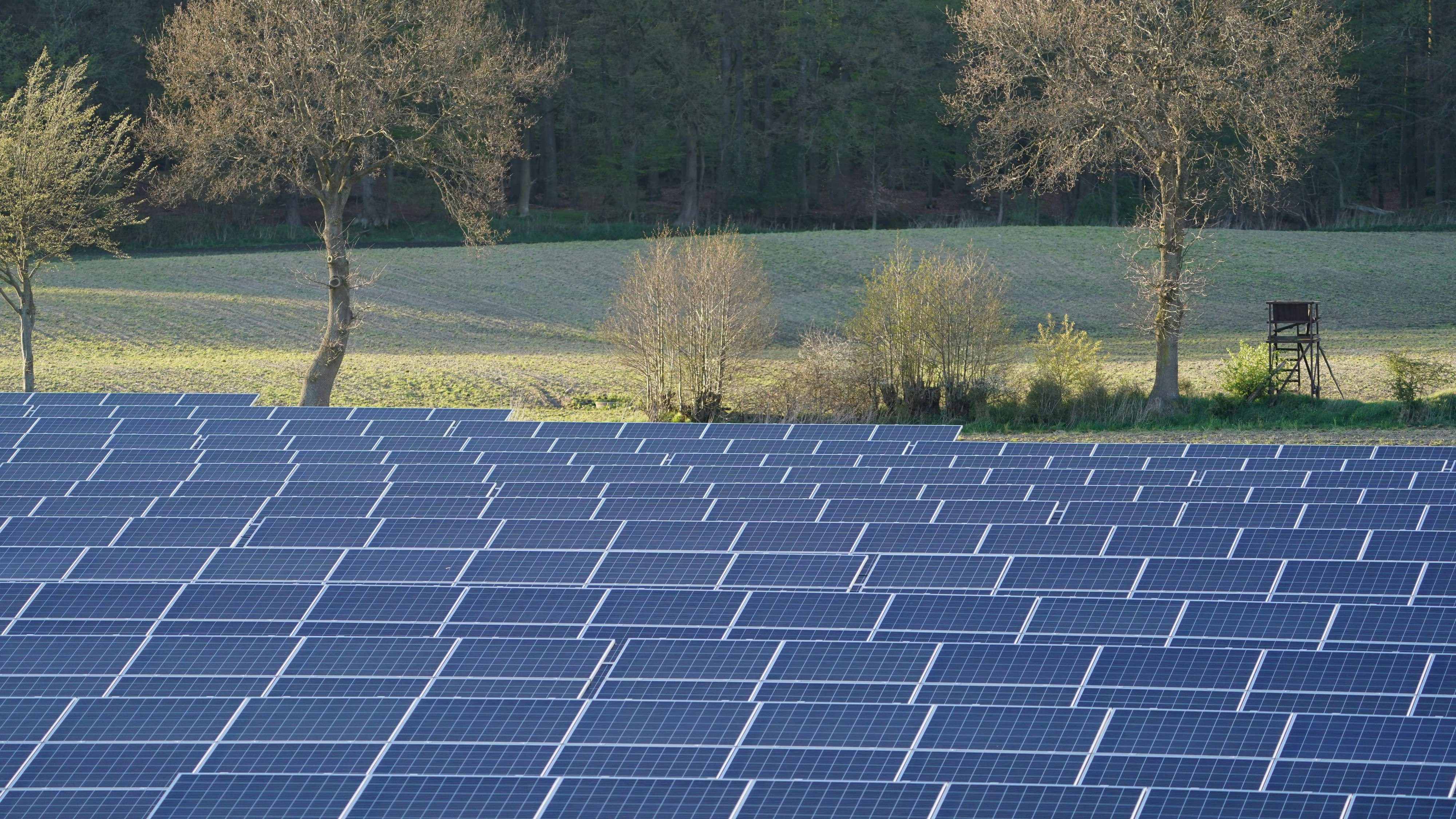 Strom statt Korn: Photovoltaikanlagen dürften künftig nicht nur auf Dächern zu finden sein.&nbsp; Foto: dpa
