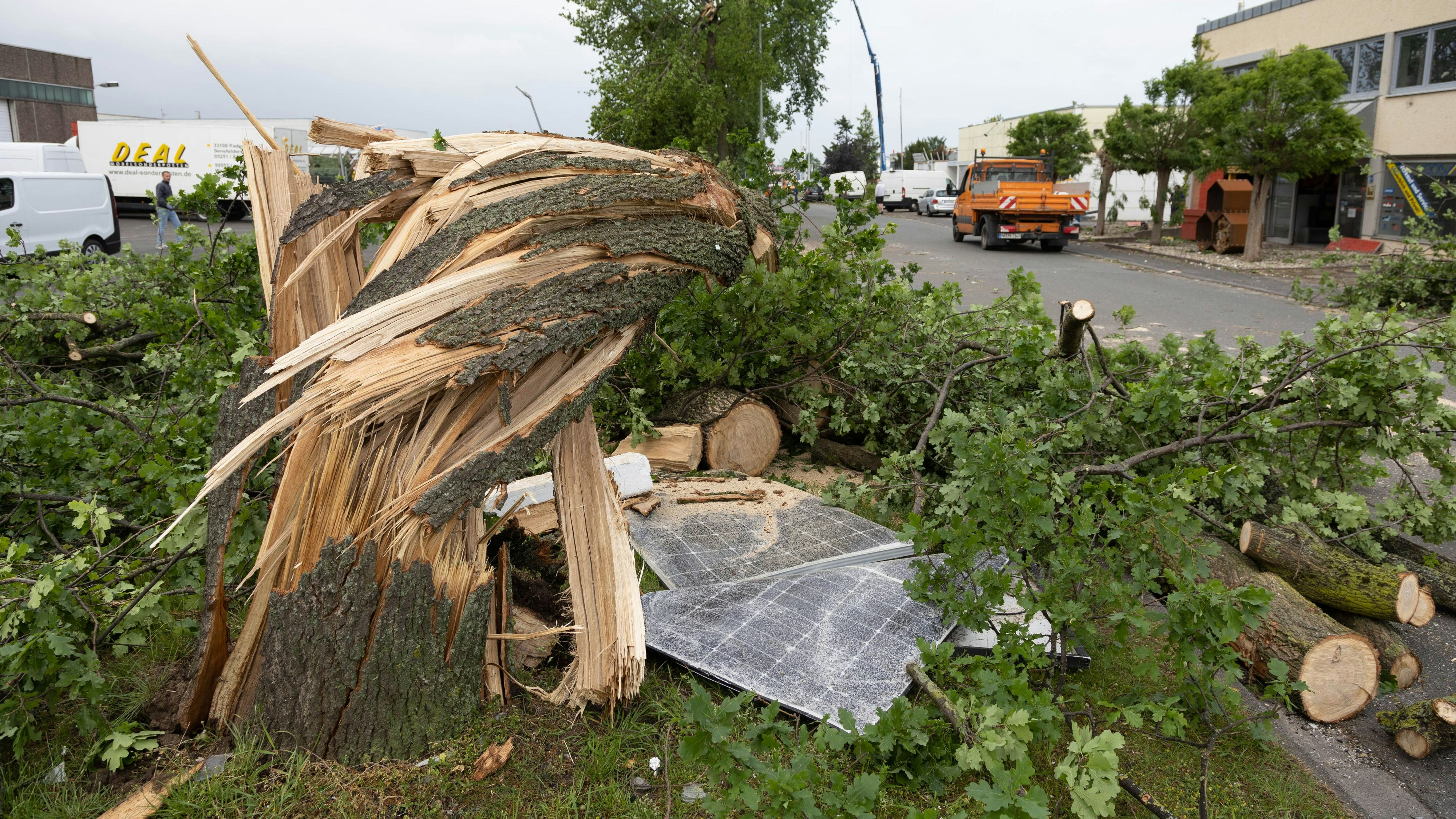 Ein Bild, welches auch im Oldenburger Münsterland möglich wäre: In Paderborn zestörte am 21. Mai 2022 ein Tornado etlich Bäume und Gebäude. Experten sprechen von einer Folge des Klimawandels. Foto: dpa