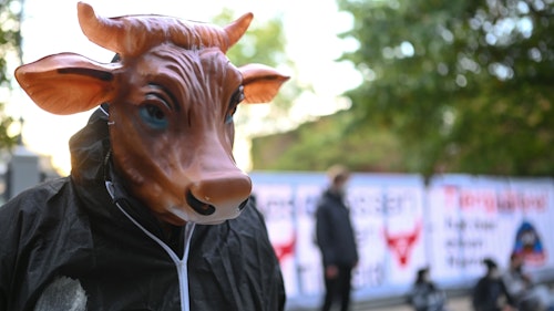 "Schluss mit der Tierindustrie": 220 Demonstrierende ziehen durch Vechtaer Innenstadt
