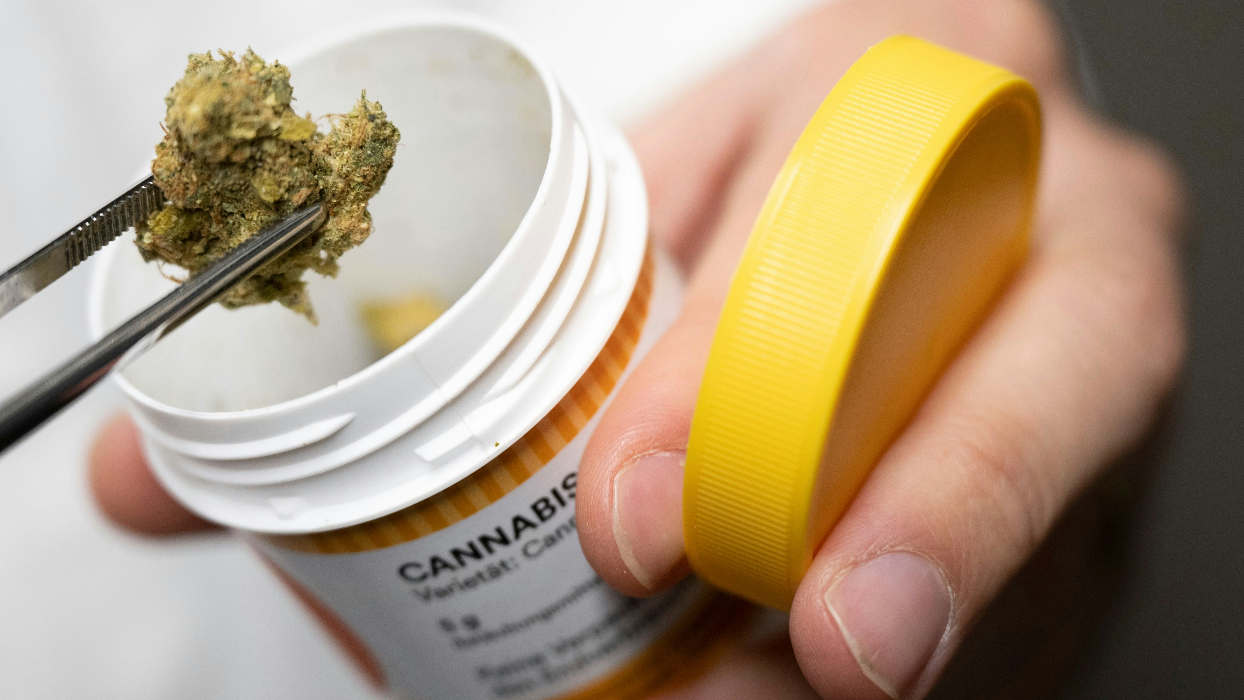 Cannabisblüten zur medizinischen Behandlung gehören zum Produktbestand von "Cansativa". Symbolfoto: dpa