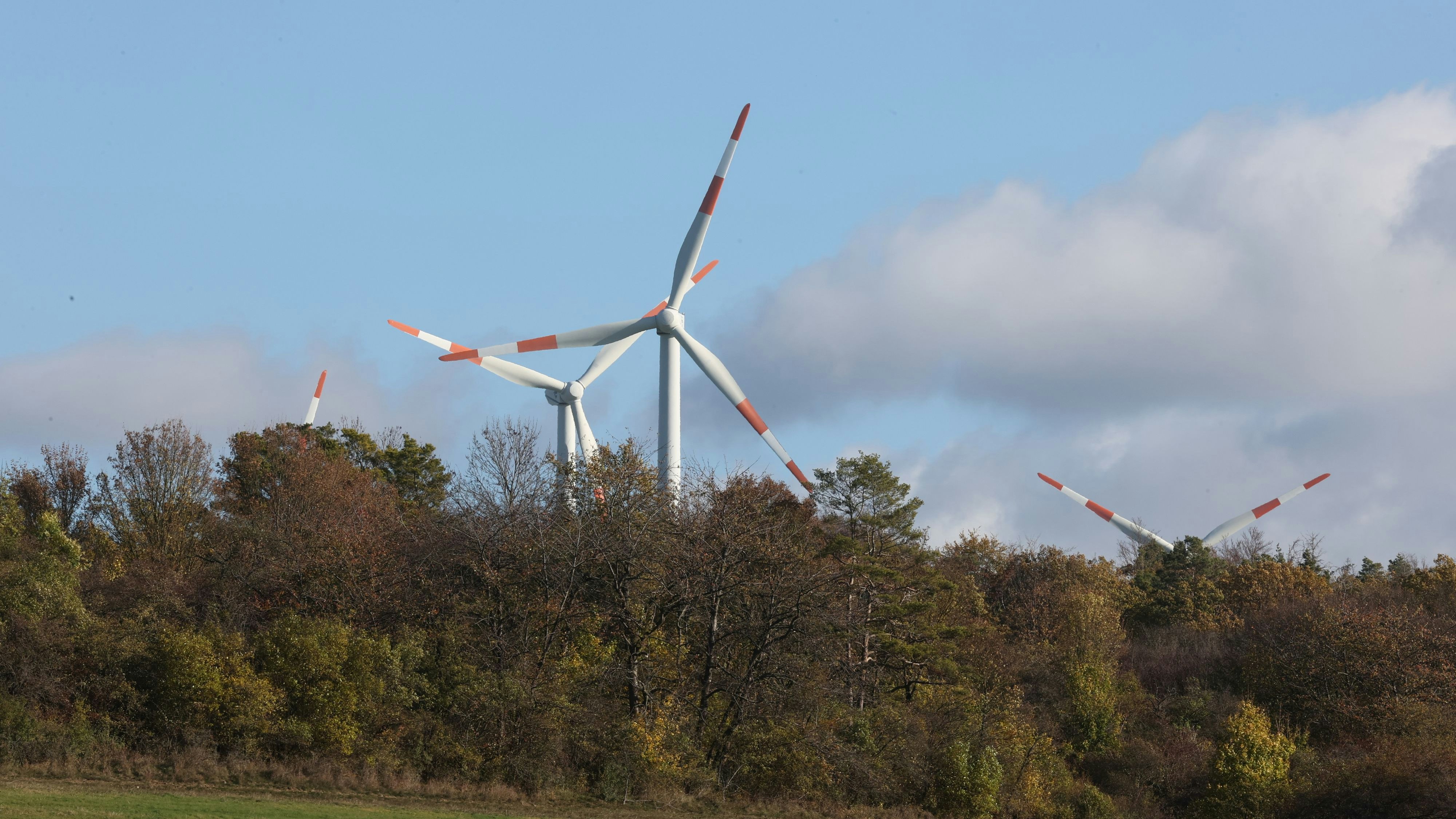 Ausbaufähig: Bisher hat die Stadt 0,3 Prozent ihrer Fläche für Windkraftanlagen ausgewiesen. Foto: dpa/Schakow
