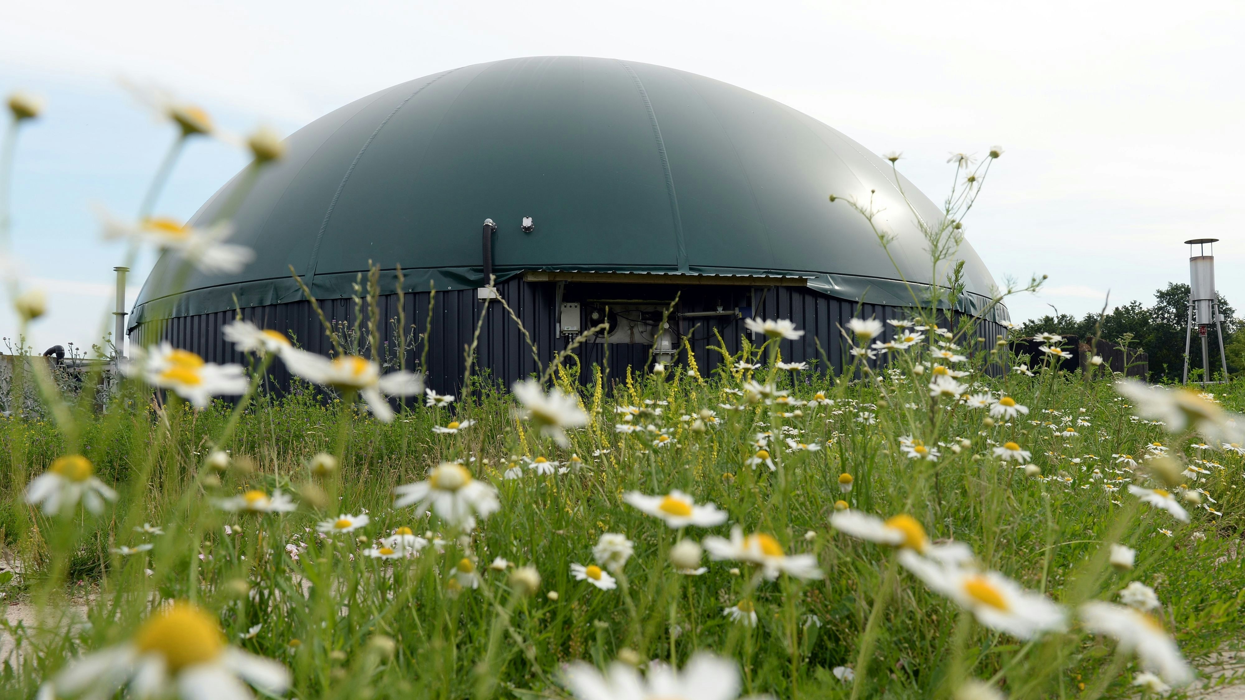 Biogasanlagen spielen bei der Energiewende eine Rolle. Symbolfoto: dpa/Gambarini