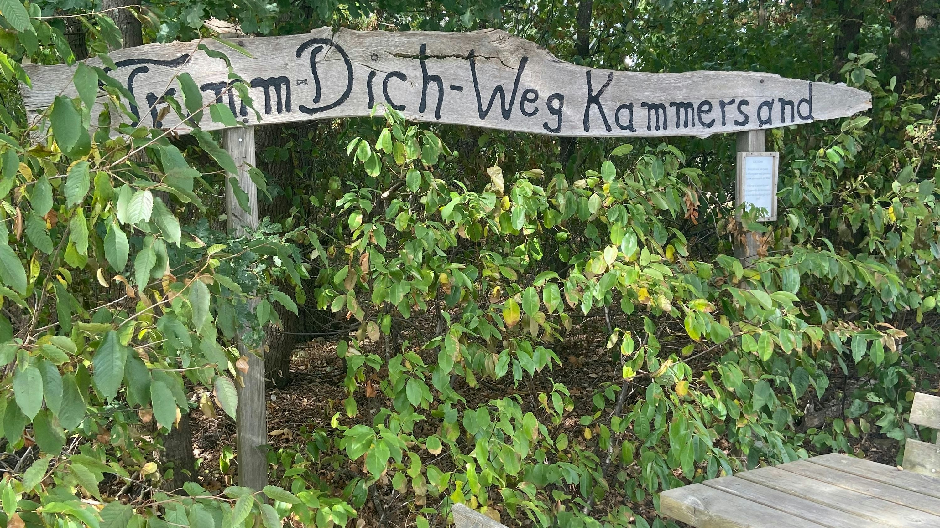 Bei Spaziergängern und Läufern sehr beliebt: Der Trimm-Dich-Pfad Kammersand in Garrel. Foto: Hoff