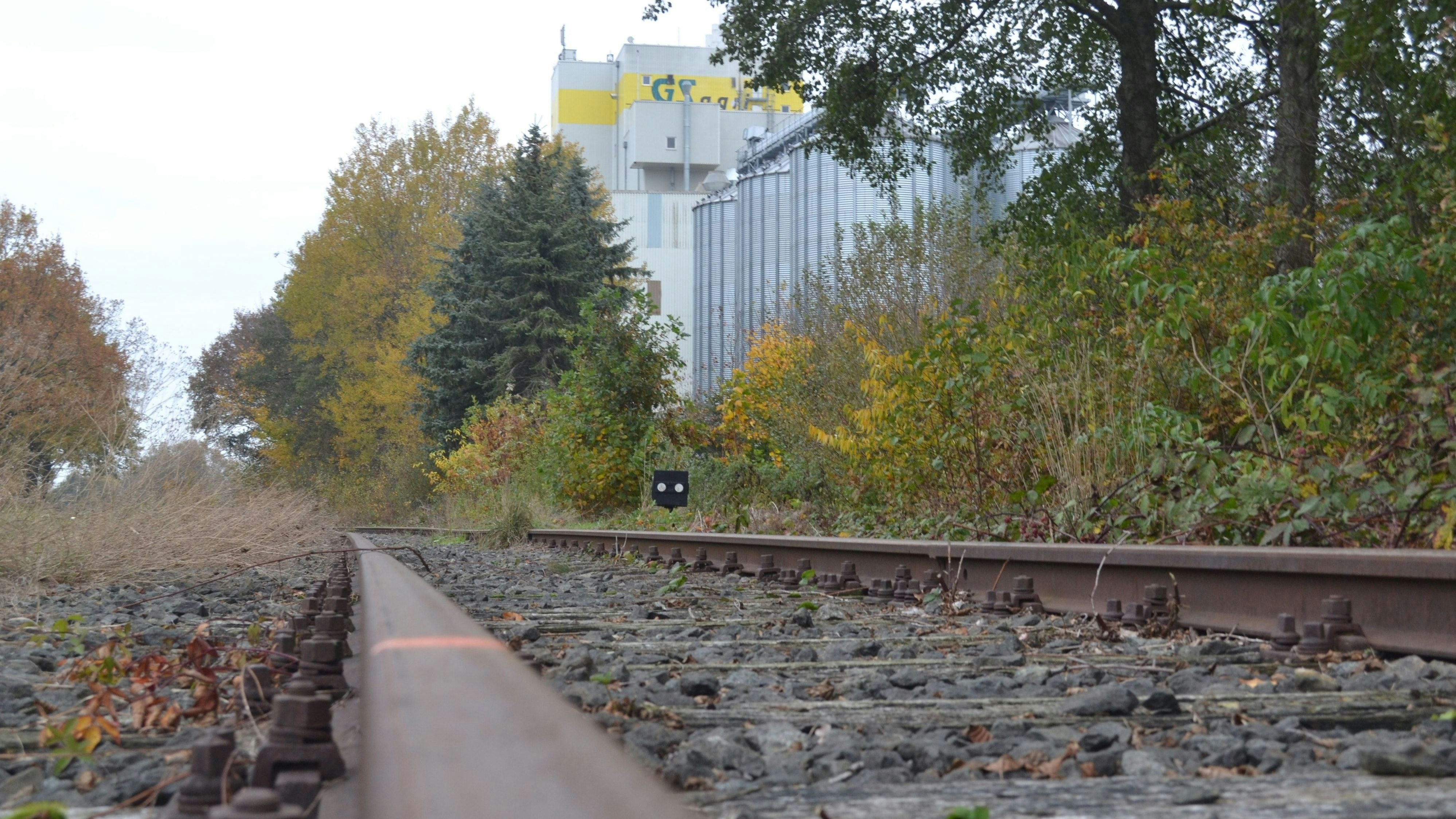 GS agri in Garrel will zum Zug kommen: Die Schienen führen direkt am Werksgelände vorbei. Archivfoto: Schrimper