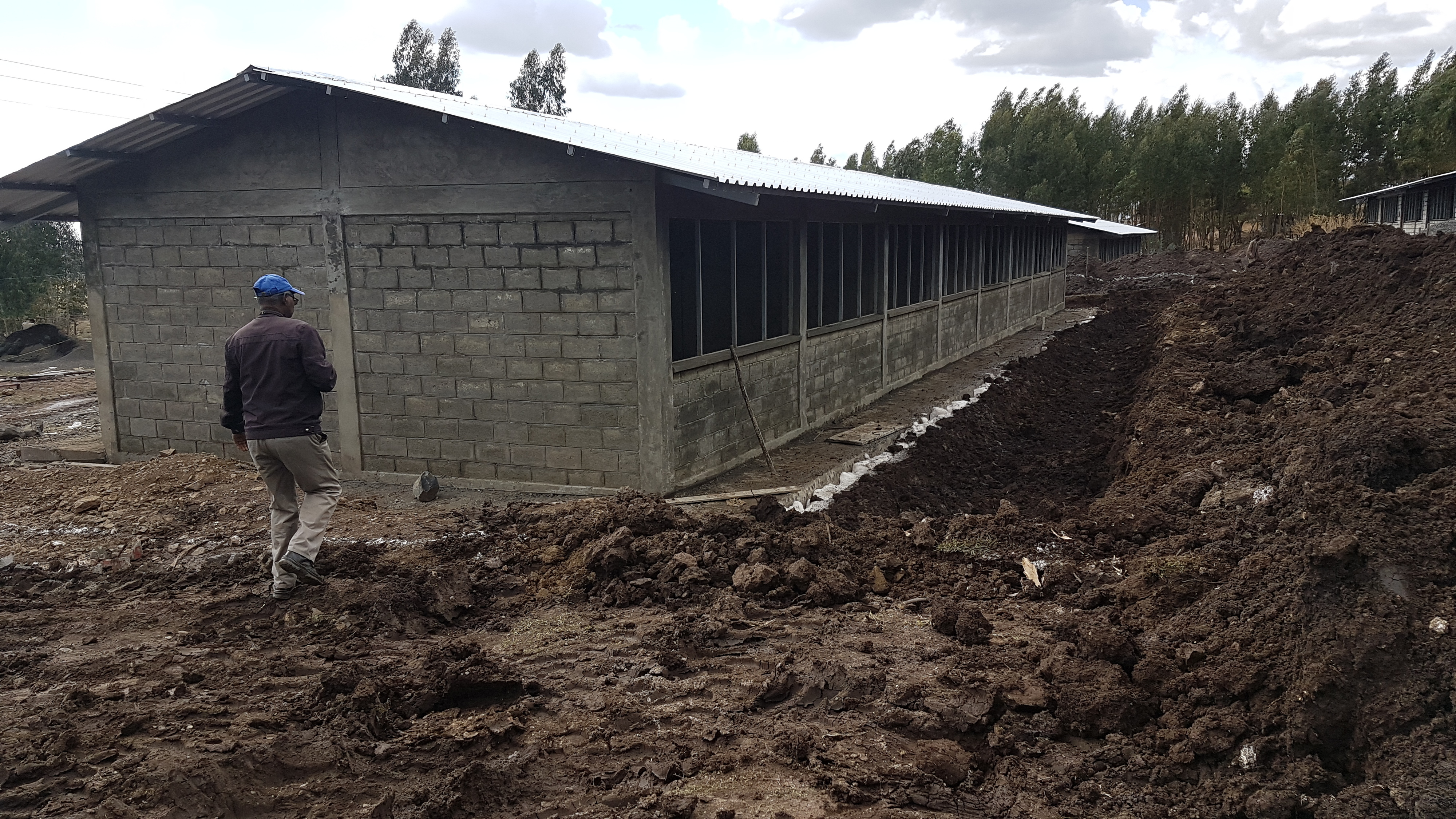 Fortschritte in Wore Illu Town: Im Nordosten von Äthiopien entsteht die dritte SgH-Schule – über die Hälfte ist geschafft. Fotos: MfM