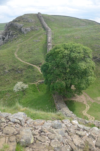 Auf und ab: Beim Wandernam Hadrianswall geht es auf der Strecke unweit der römischen Ausgrabungsstätten Vindolanda und Housesteads Hügel hinauf und wieder runter. Foto: dpaHeimann