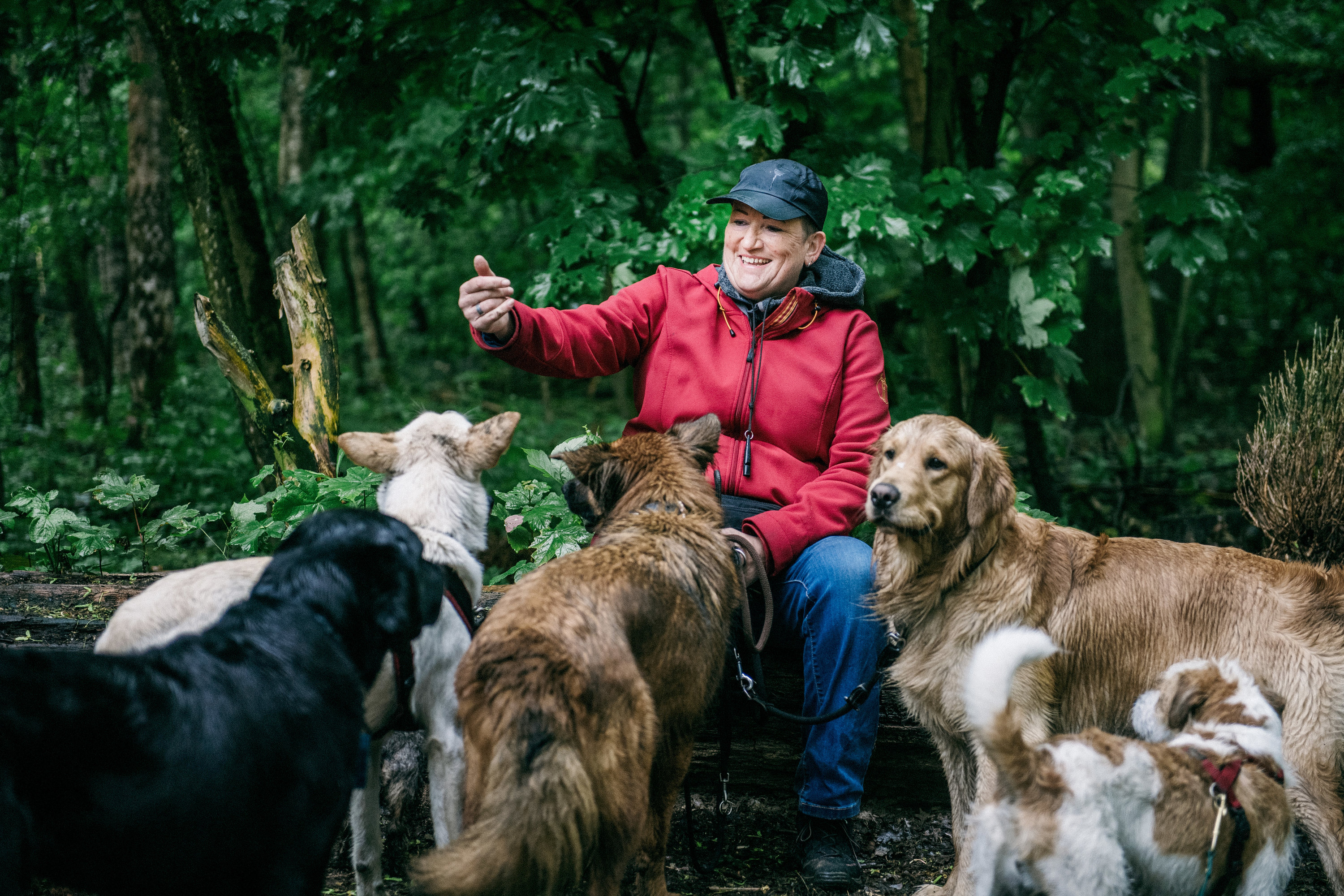 Die Dogwalkerin Vera Schrader erwartet von den Hunden, dass sie die wichtigsten Kommandos kennen. Foto: dpa/Scheurer