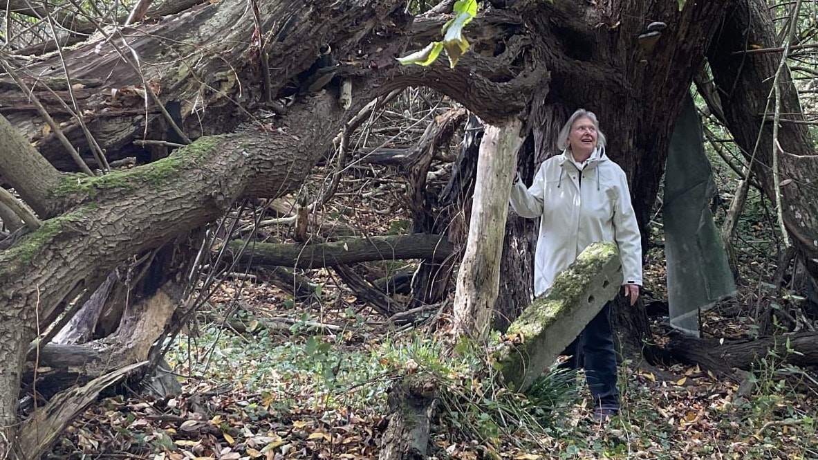 Unberührte Natur: Cordula Elsner ist durch den "vergessenen Wald" gewandert. Foto: Elsner