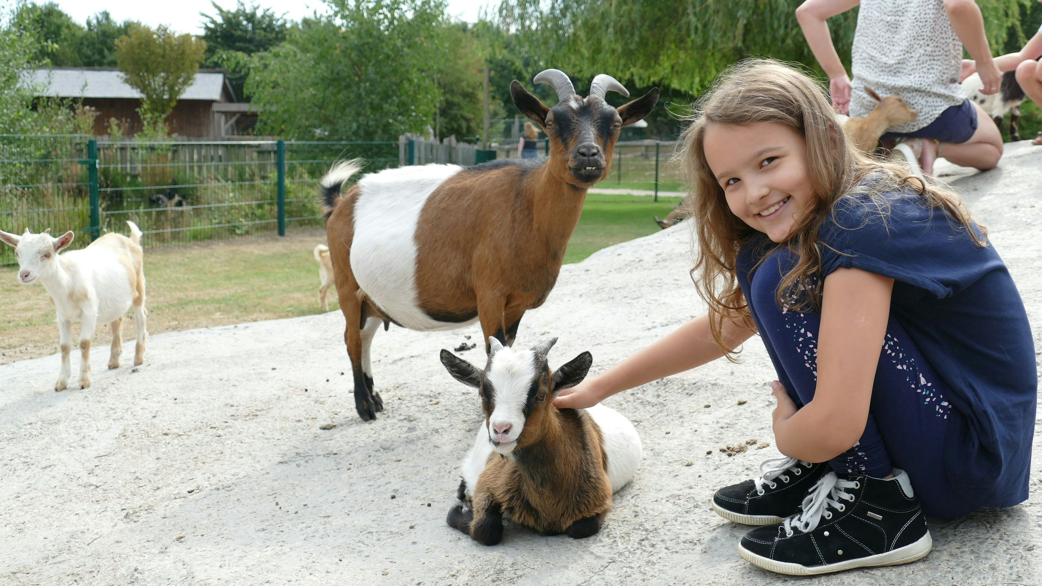 Streicheleinheiten: Die 7-jährige Anastasia zog es beim Besuch des Tierparks Thüle schnell zur Streichelwiese mit den zutraulichen und neugierigen Ziegen. Foto: Stix