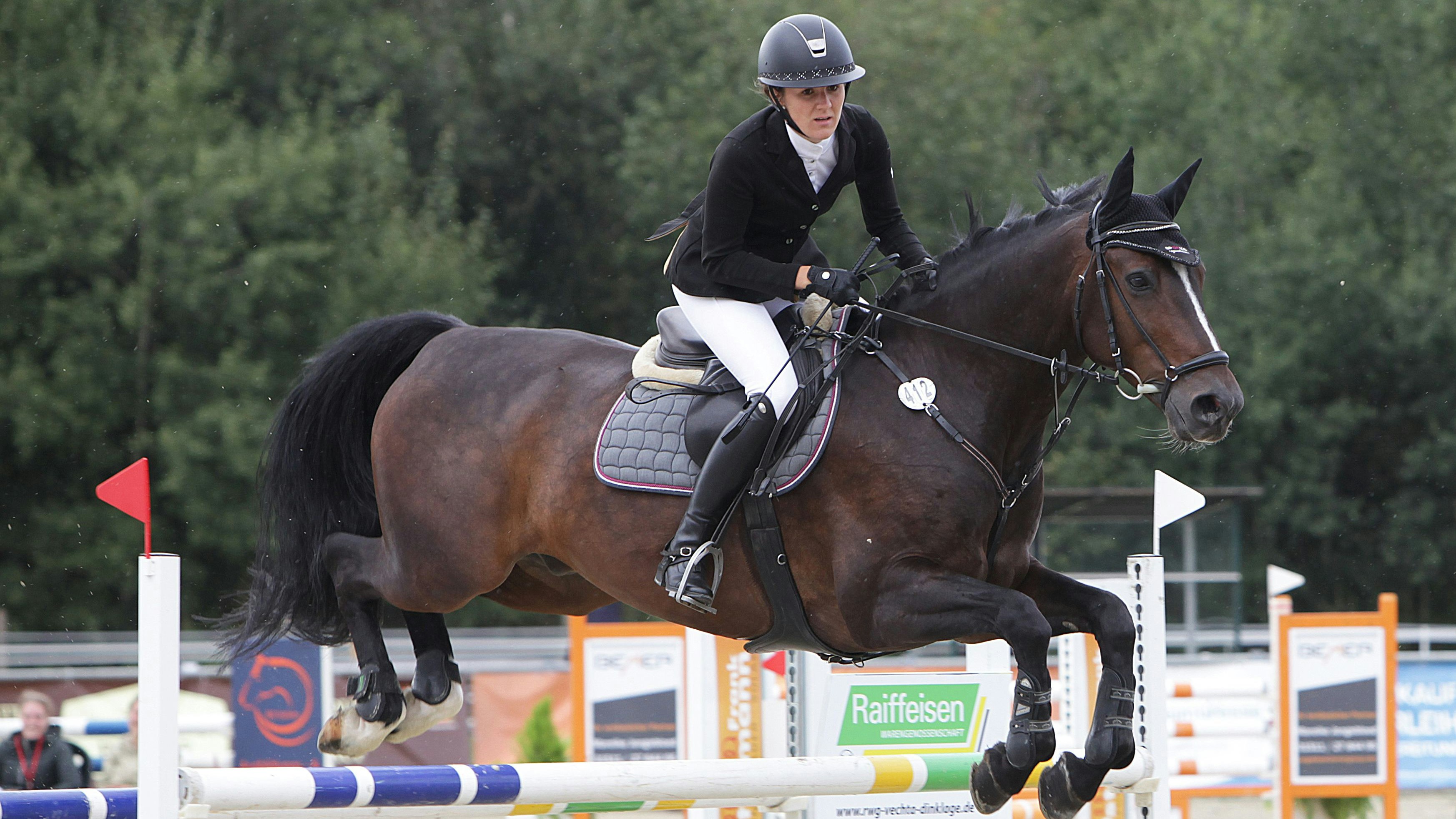 Da steht ein Pferd in der Luft: Eine Szene vom letztjährigen Turnier des Reitervereins Vechta. Foto: Schikora