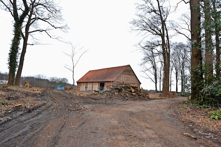 Steht noch: Ob auch die Scheune abgerissen wird, ist derzeit offen. Der Baumbestand soll erhalten bleiben. Foto: Meyer