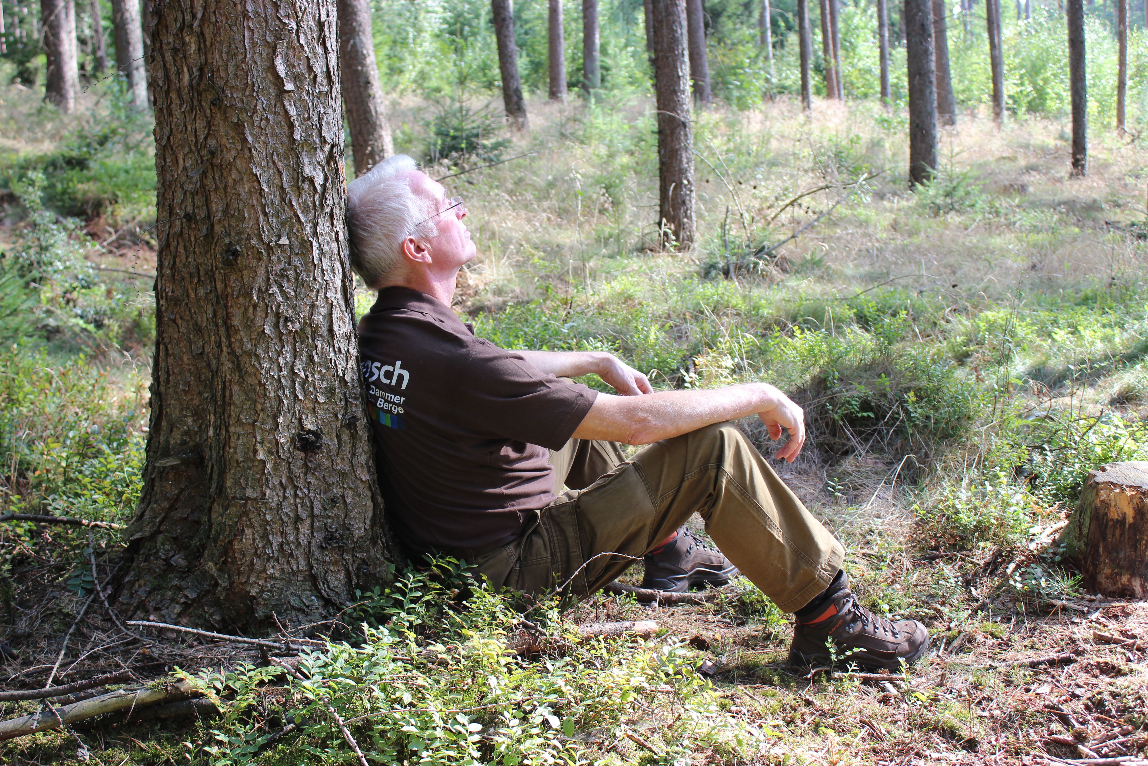 Waldbaden: Klaus Potthoff bietet bei der "Wunsch" sowohl ein Afterwork- als auch ein Intensiv-Waldbaden an. Es soll sich positiv auf die Gesundheit der Menschen auswirken. Foto: privat