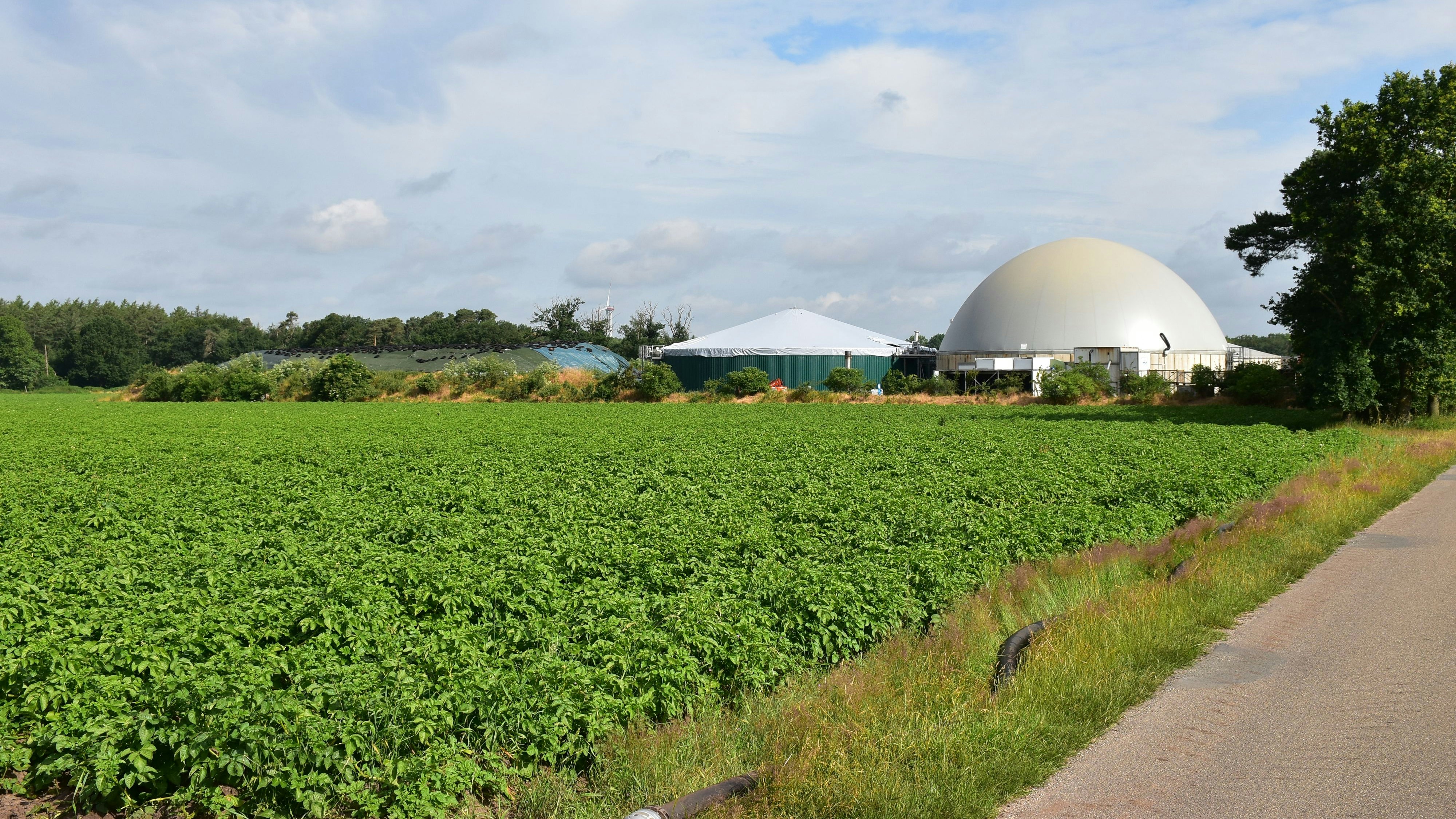Siedeln hier bald Holdorfer Firmen an? Rund um diese Biogasanlage und die dahinter liegende Hofstelle Brüning könnte ein Gewerbegebiet entstehen. Foto: Böckmann