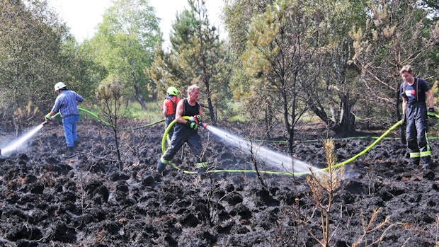 100 Feuerwehrleute kämpfen gegen Brand im Vehnemoor