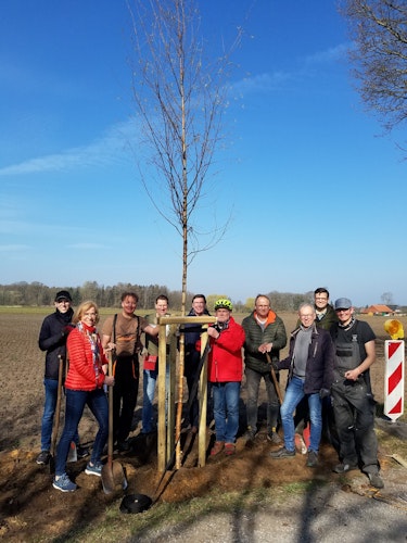 Lückenbepflanzung: Die CDU hat sechs Bäume gepflanzt. Foto: privat