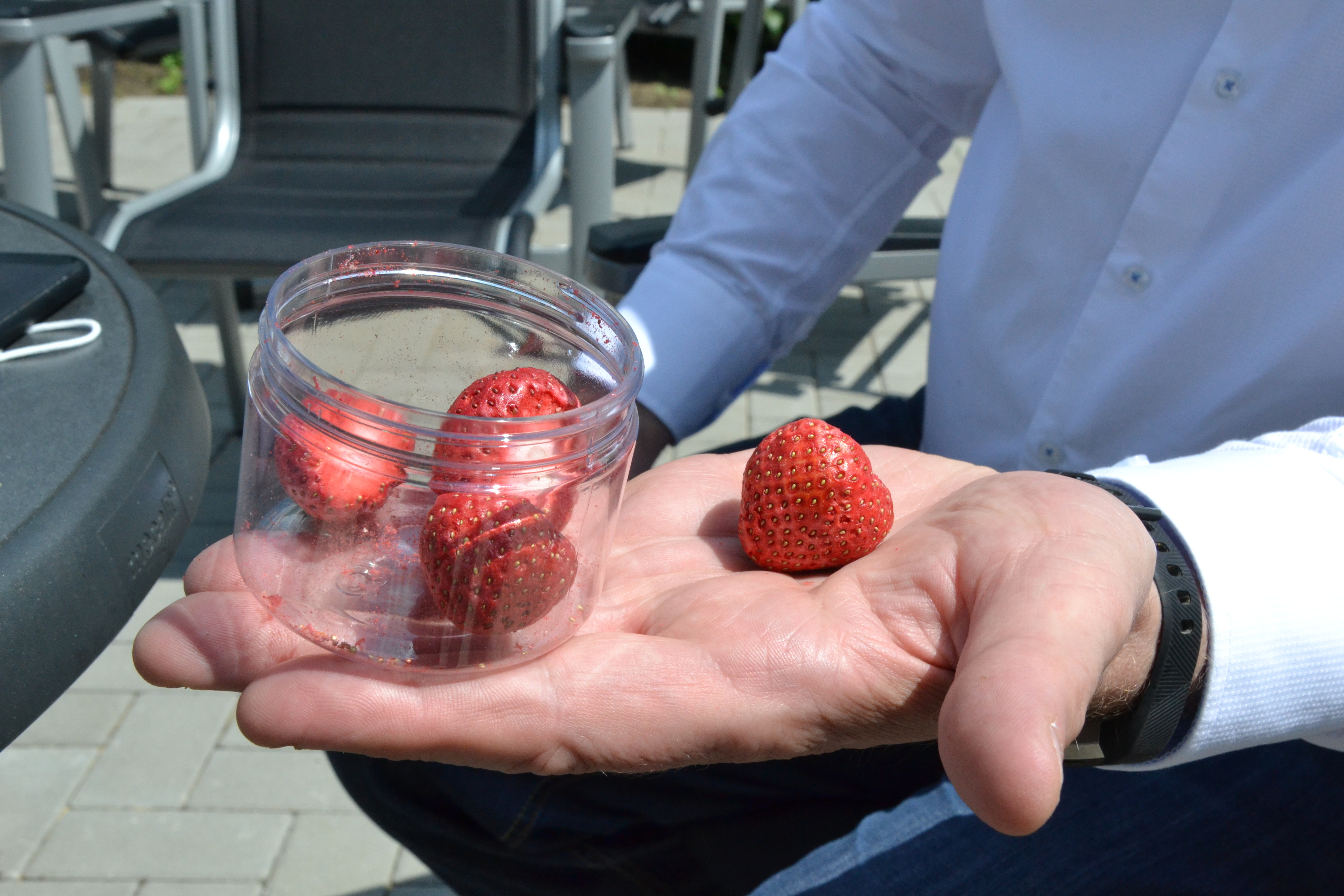 Täuschend echt: Die Erdbeeren wurden gefriergetrocknet, behielten aber ihre natürliche Form bei. Technik made in Quakenbrück. Foto: Meyer
