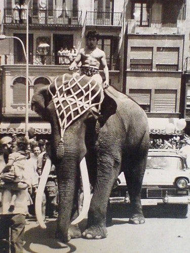 Giannis Opa Kalli Frank feierte nach dem Krieg mit seinem Elefantenbullen weltweit Erfolge. Foto: Familie FrankLaffontien