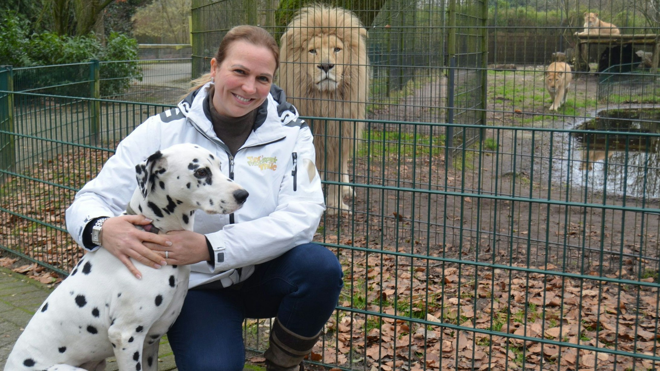 Tierpark-Chefin Alexandra Grothaus mit ihrem Dalmatiner Cooper vor dem Löwengehege. Löwe Spike blickt skeptisch. Foto: Fertig