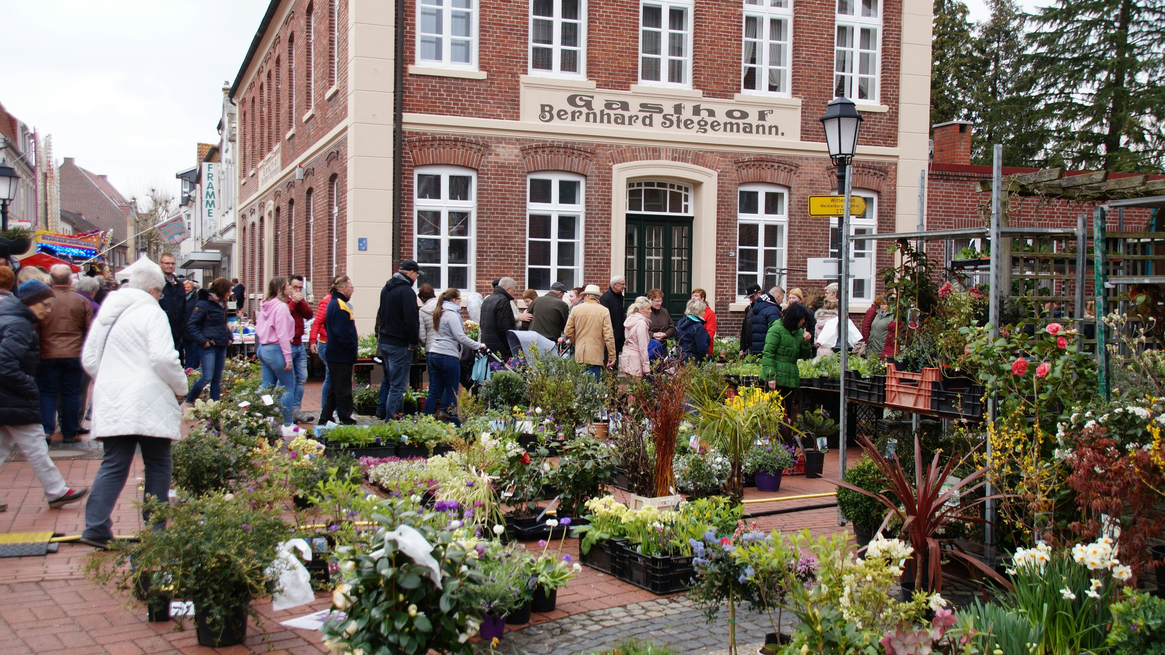 Ein Pflanzen- und Blumenmeer: Das große Blumen- und Pflanzenangebot soll die Besucher wieder in die Innenstadt locken. Foto: Archiv Landwehr