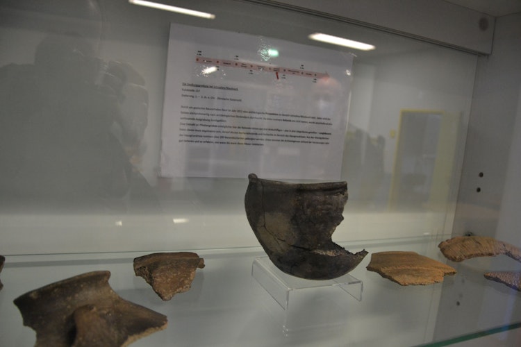 5000 Jahre alt: Die Gefäßteile stammen aus der Jungsteinzeit. Foto: Meyer