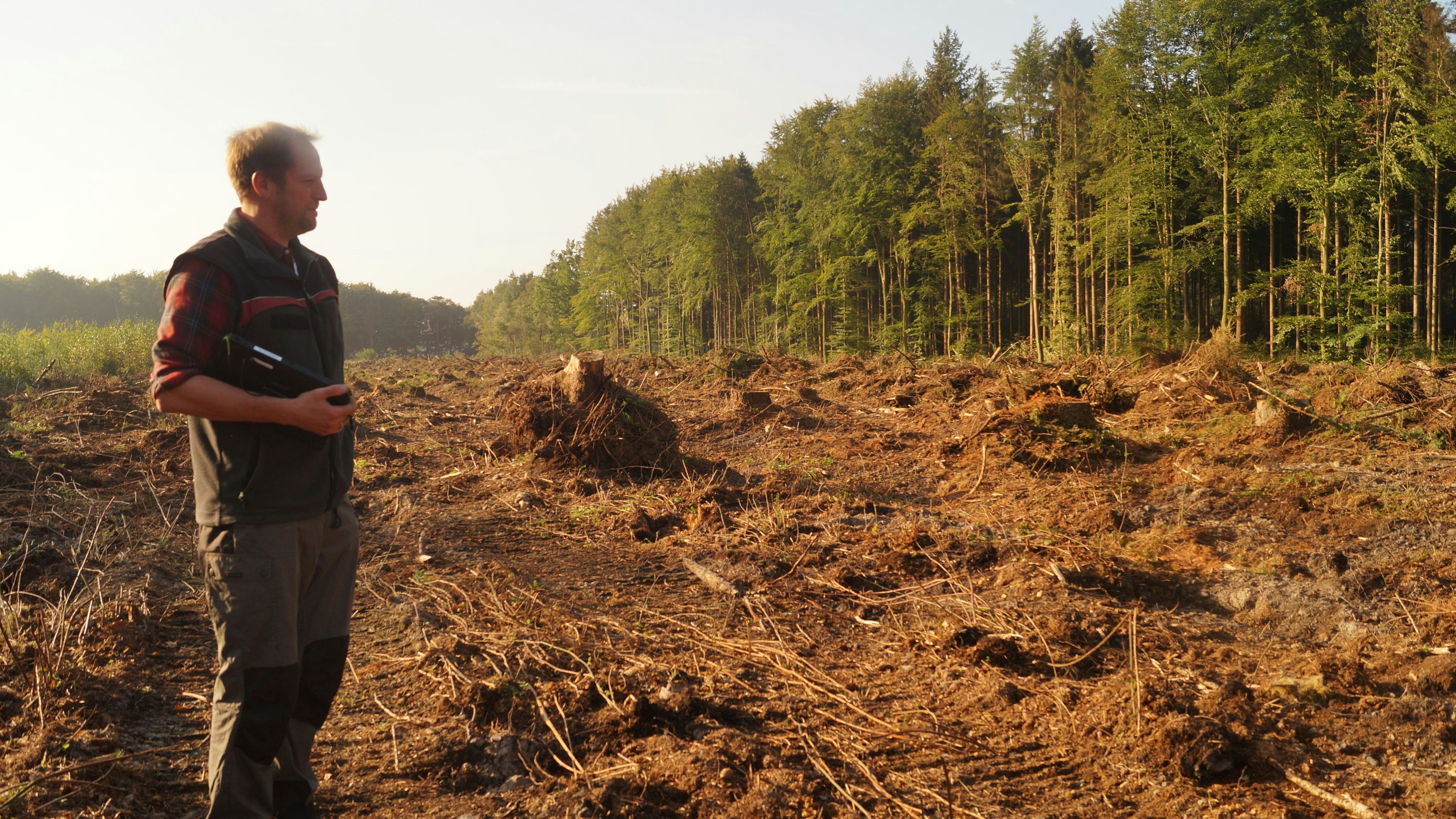 Auf den ersten Blick erschreckend: Zahlreiche Bäume sind im Herrenholz entfernt worden. Diese würden aber bald ersetzt, sagt Björn Staggenborg vom Forstamt Ahlhorn.&nbsp; &nbsp;Foto: C. Meyer