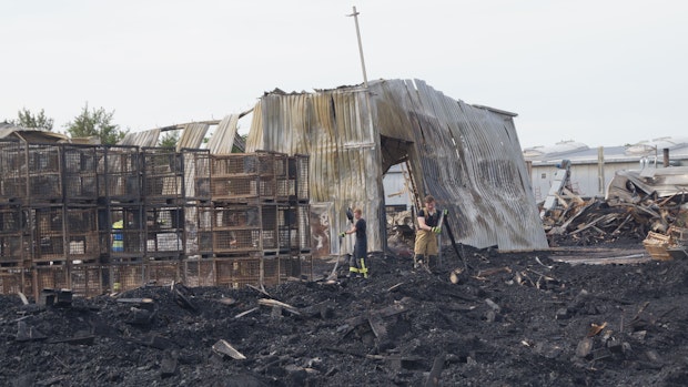 Feuer zerstört Palettenbau-Betrieb in Bakum