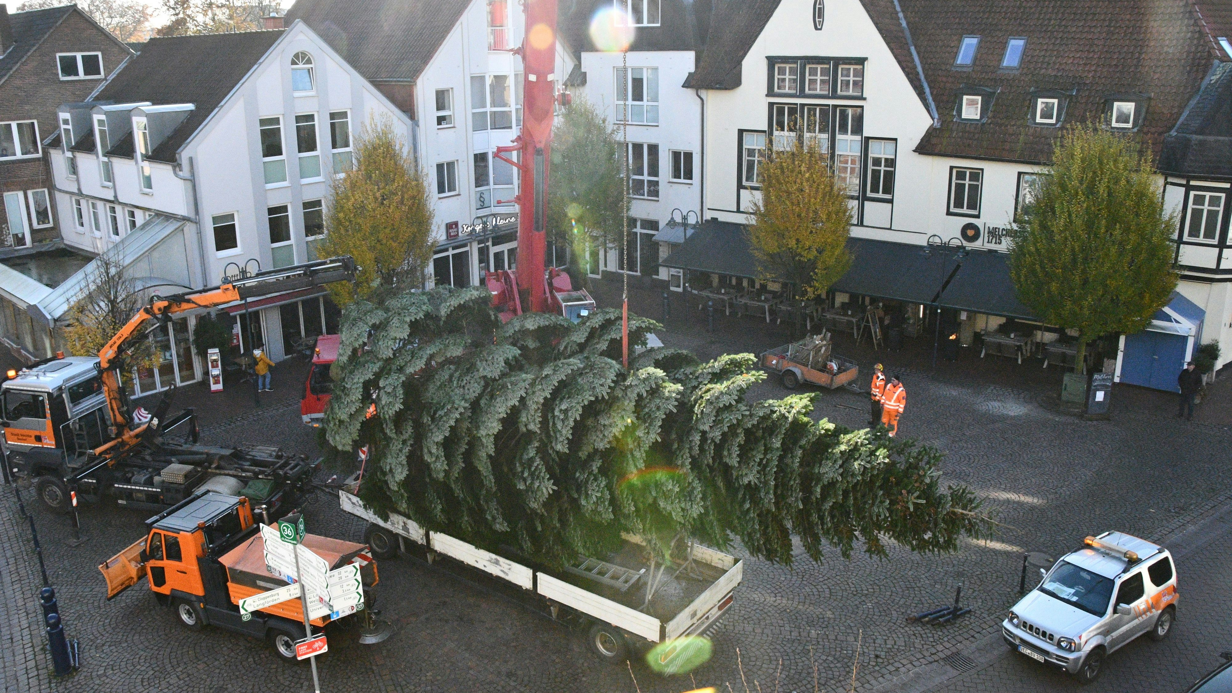 Kraftakt auf dem Alten Markt:&nbsp;Mitarbeiter des städtischen Bauhofs stellten am Mittwoch den Weihnachtsbaum auf. Foto: Stadt Vechta