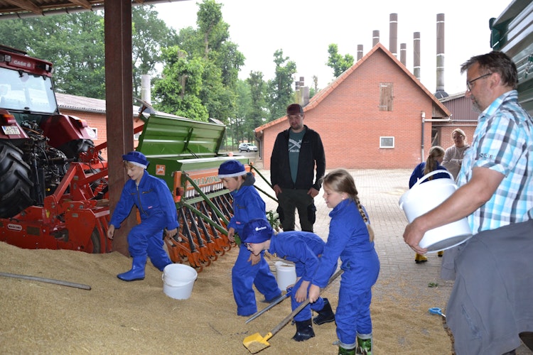 Spaß beim Schüppen: Auf dem Hof Schmidt hat die Getreideernte begonnen. Foto: G. Meyer