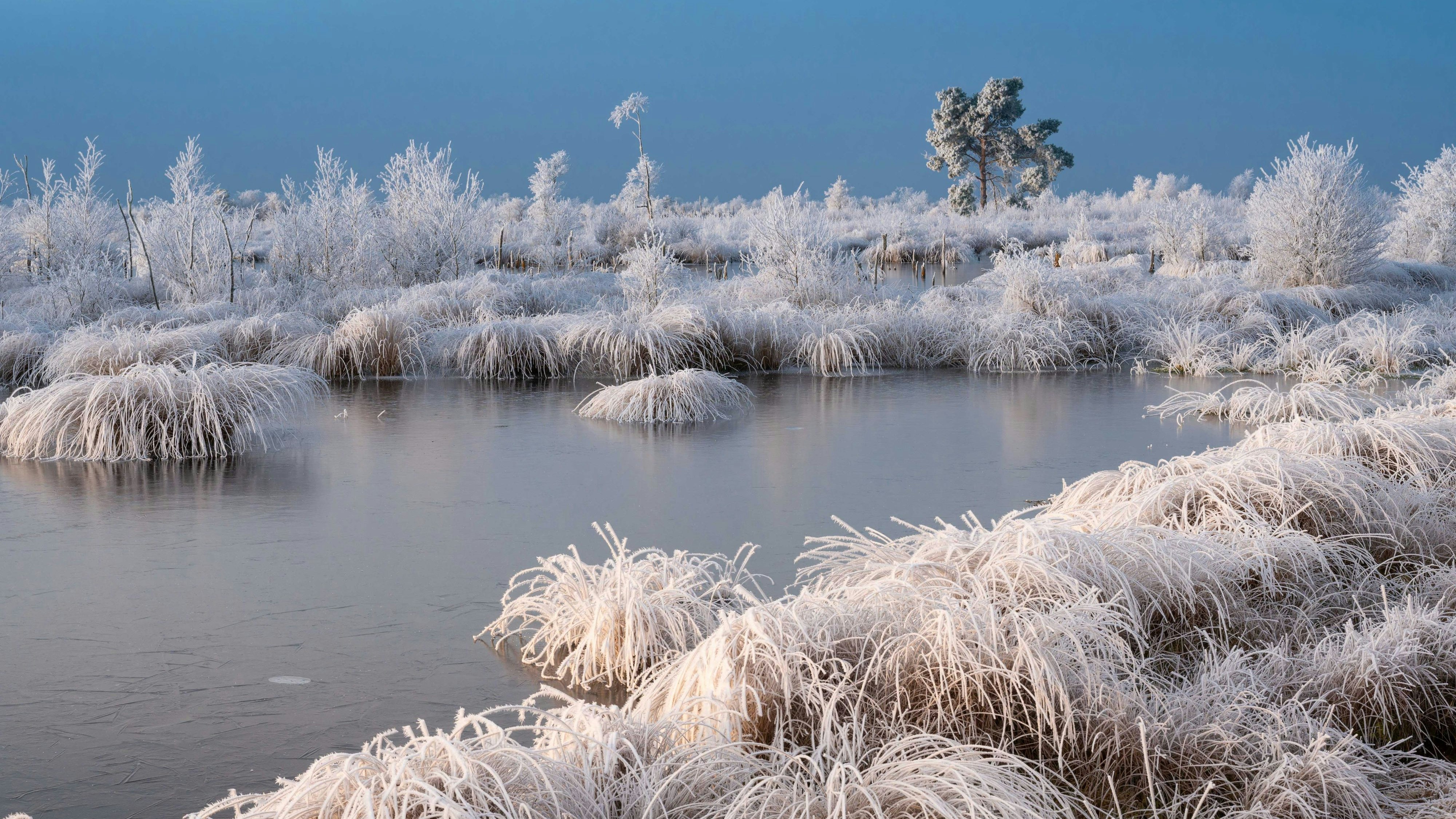 Das Goldenstedter Moor im Winter: Den Mooren im Landkreis kommt beim Klimaschutz eine besondere Bedeutung zu. Foto: M. Niehues