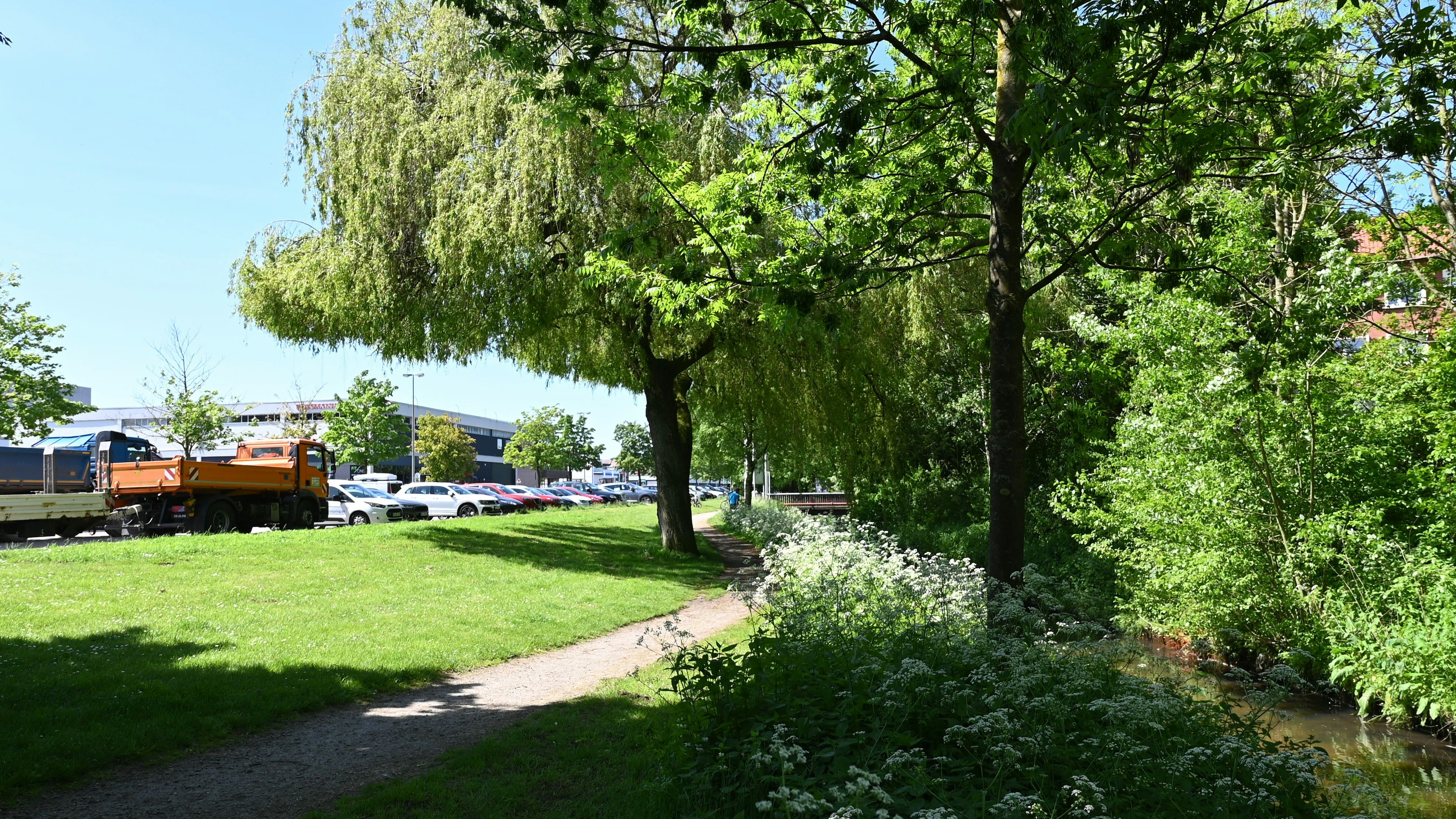 Soll grüner werden: Das Areal entlang der Soeste am Rande des Parkplatzes an der Bürgermeister-Heukamp-Straße. Archivfoto: Hermes