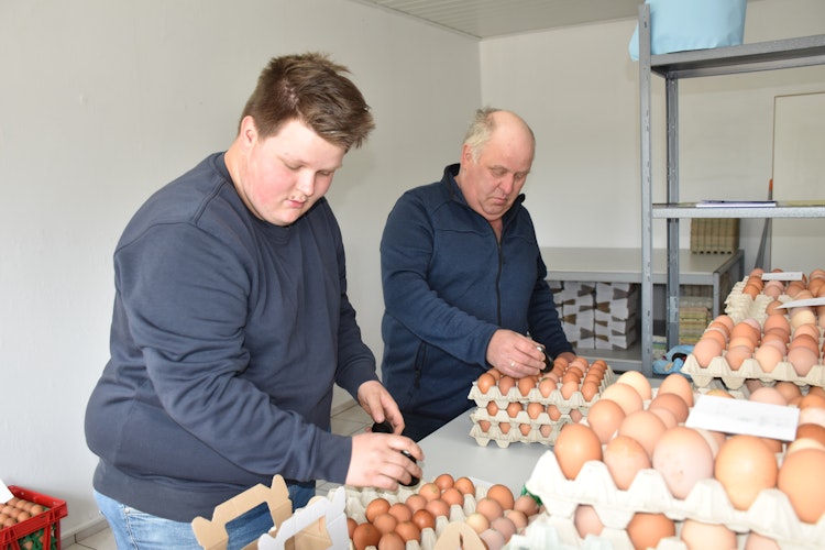 Handarbeit: Die Eier werden auf dem Hof gestempelt. Foto: Ebert